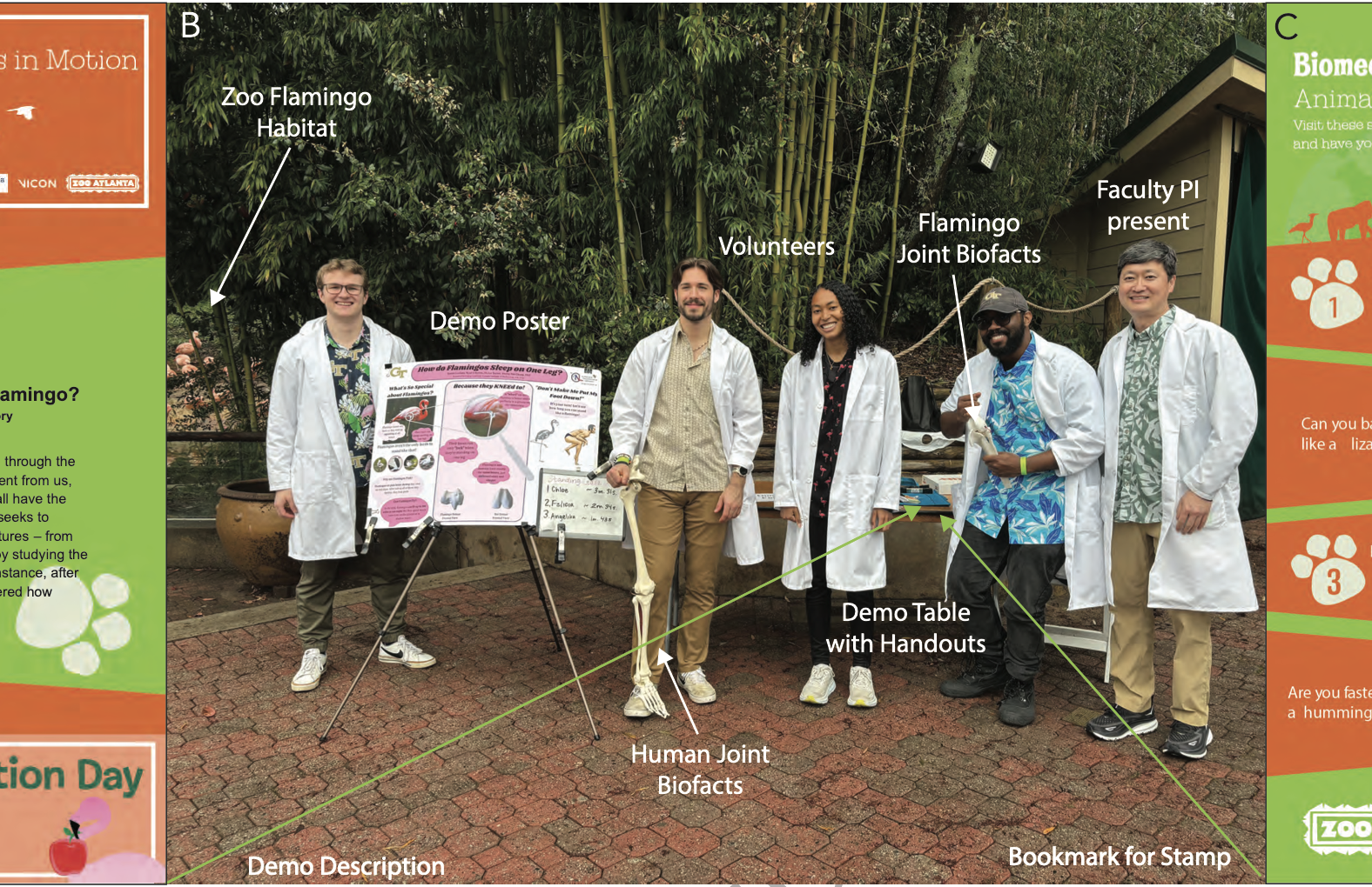 New paper accepted on zoo biomechanics outreach