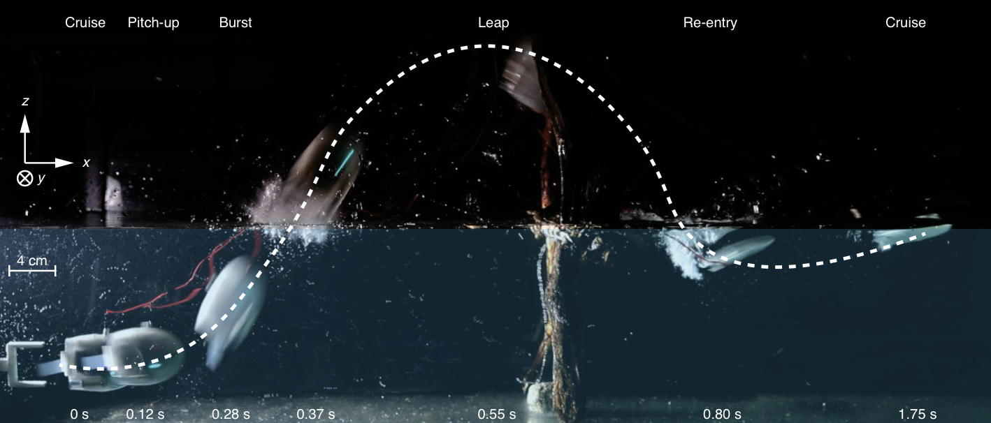 New paper on leaping fish robot
