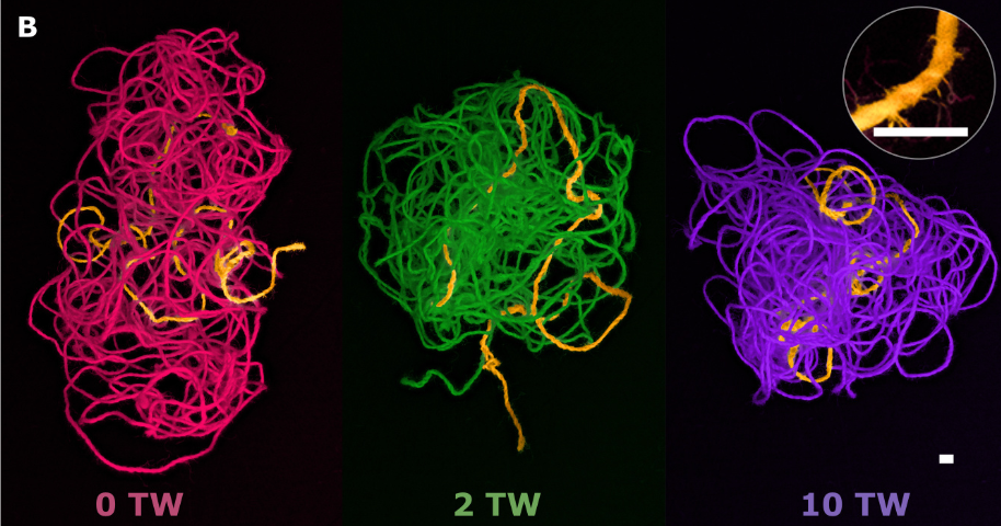 New paper on why shaking faster doesn't untangle