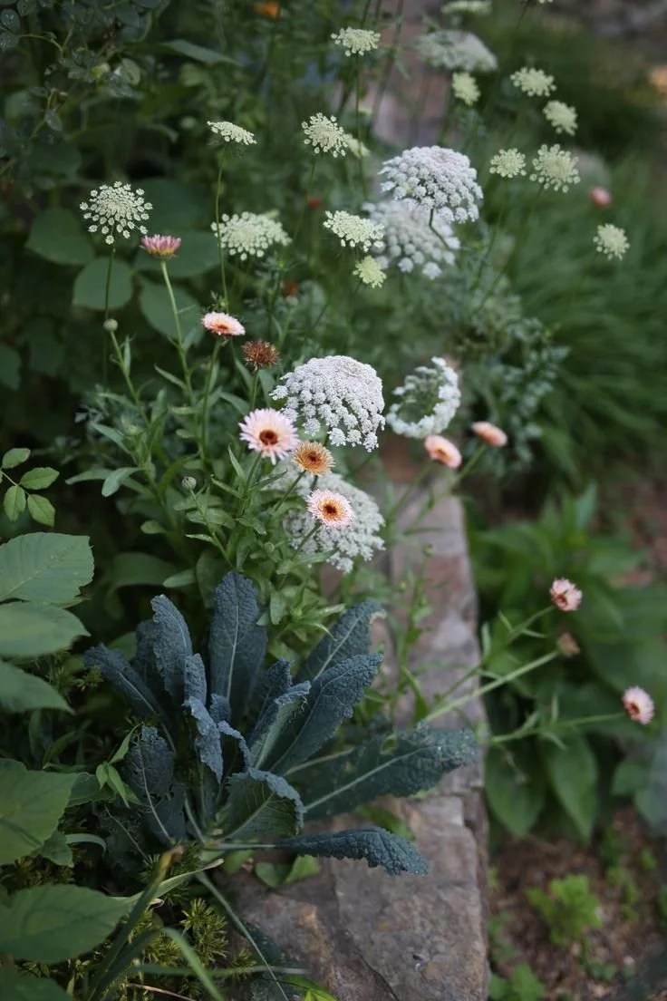 Wellness Edit: While It Is Still Summer
