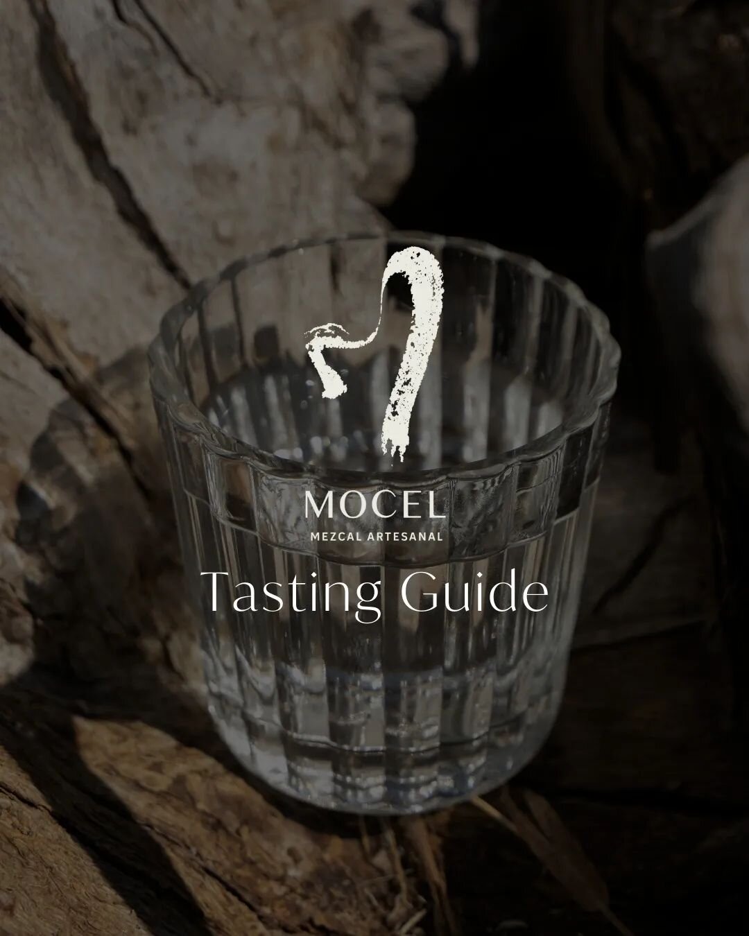 How do you drink mezcal? Anyway you&rsquo;d like! But we&rsquo;re happy to share how we prefer to savor mezcal with our Tasting Guide.  Swipe through this guide to enjoy mezcal&rsquo;s diverse flavors by drinking neat. #MocelMezcal #SippingNeat