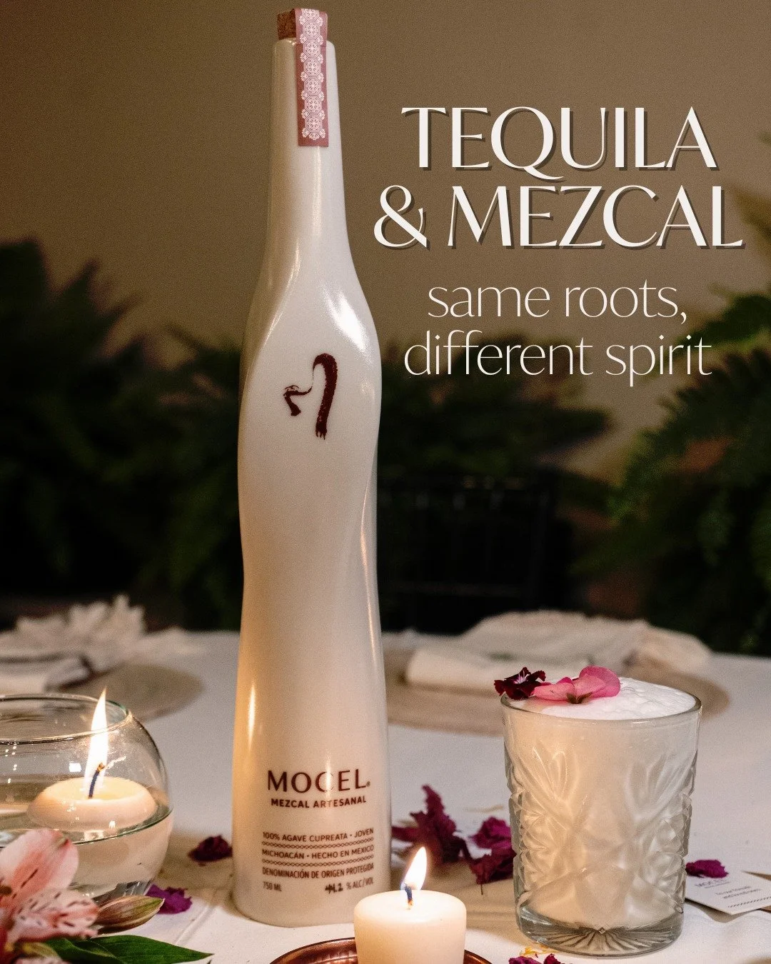 🥂We are not tequila. We are mezcal!

While today celebrates tequila, we raise our glass to mezcal, its spirited, wilder, more complex ancestor.

Buy Mocel to discover why mezcal isn&rsquo;t just different, it&rsquo;s unforgettable.

LINK IN BIO

#Te