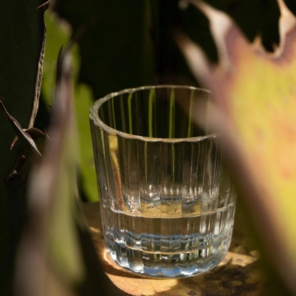 Mezcal for Scotch Drinkers: How to Sip the Oldest Spirit in North America