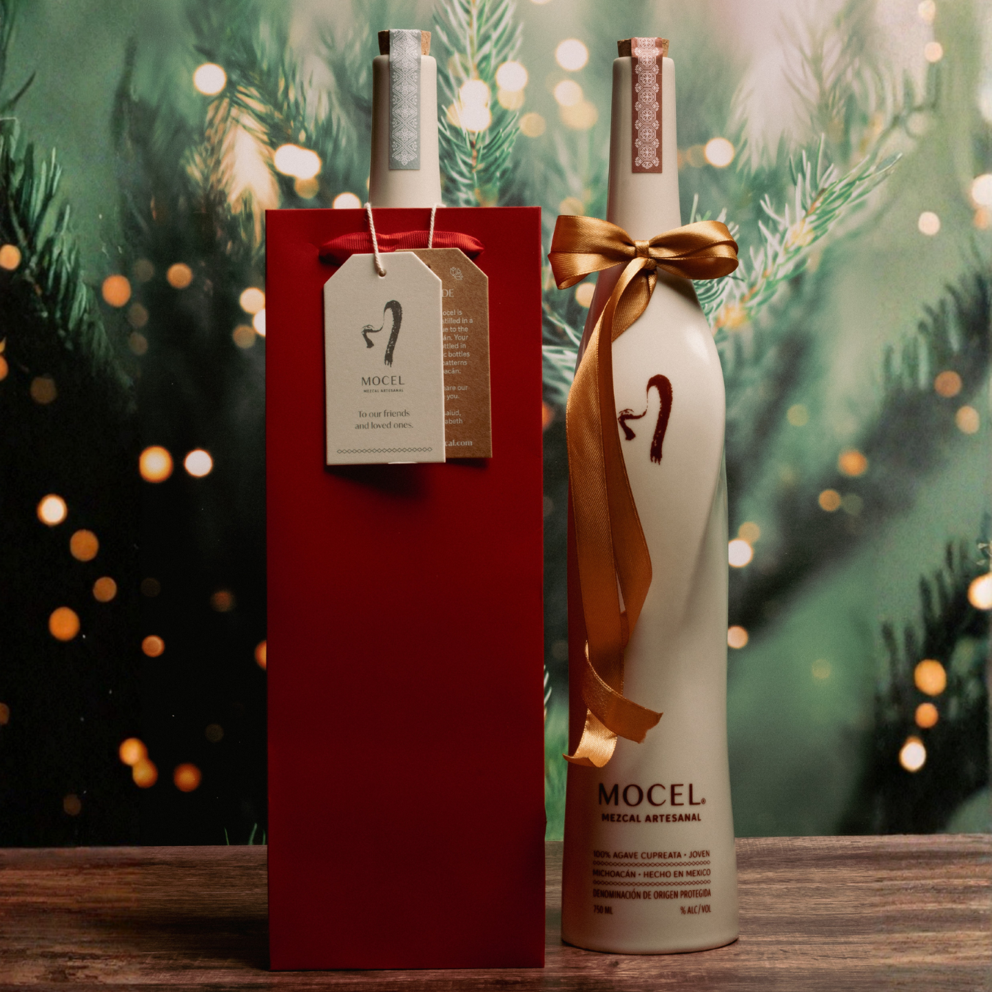 Mocel Cupreata and Ensamble - holiday (web).png