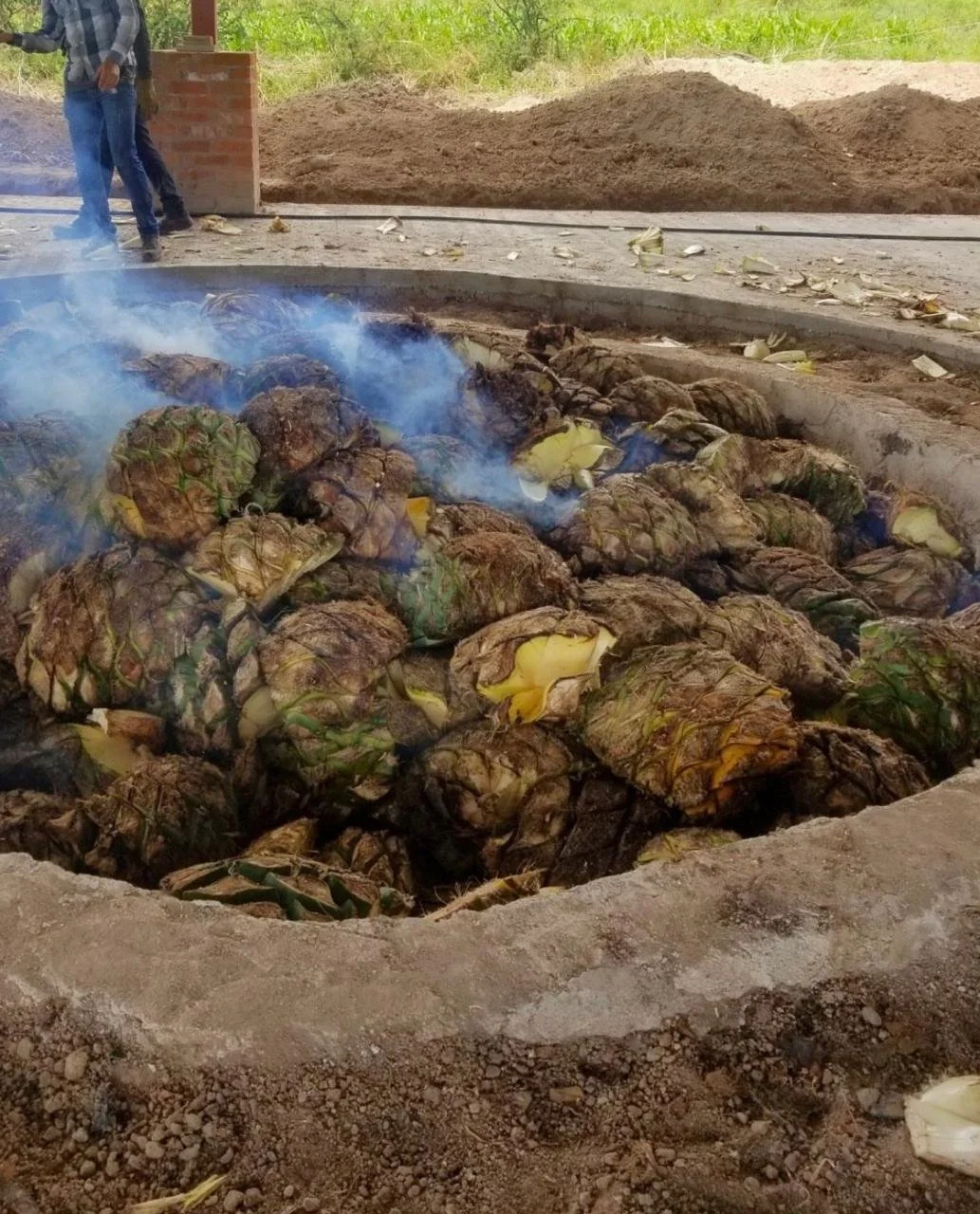 WhatsApp Image 2026-04-10 at 3.54.33 PM (7).jpeg