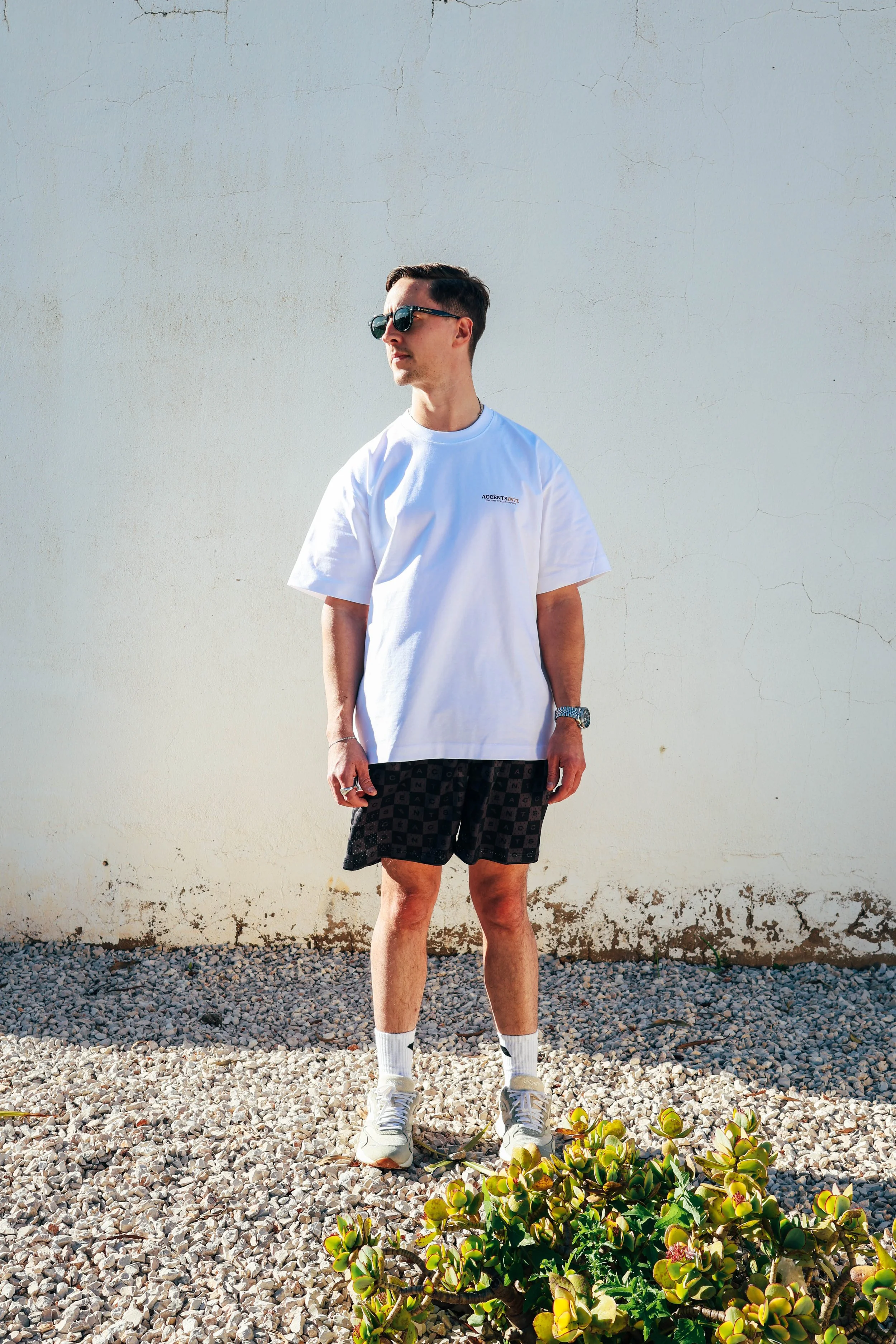 Accents_SS26_ECOM_FlagTee_White-5517.jpg