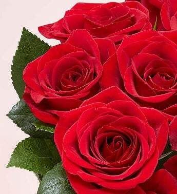 Red Roses Image.jpeg