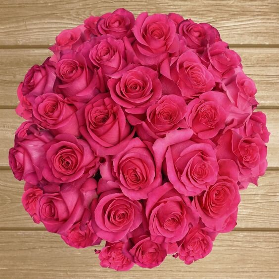 Hot Pink Roses.jpeg