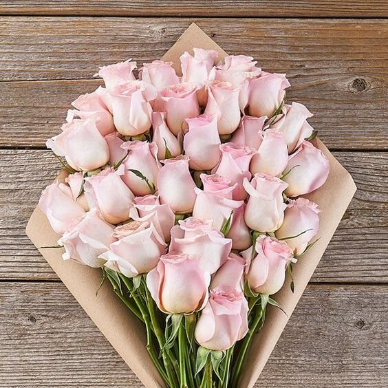 Pale Pink Roses.jpeg