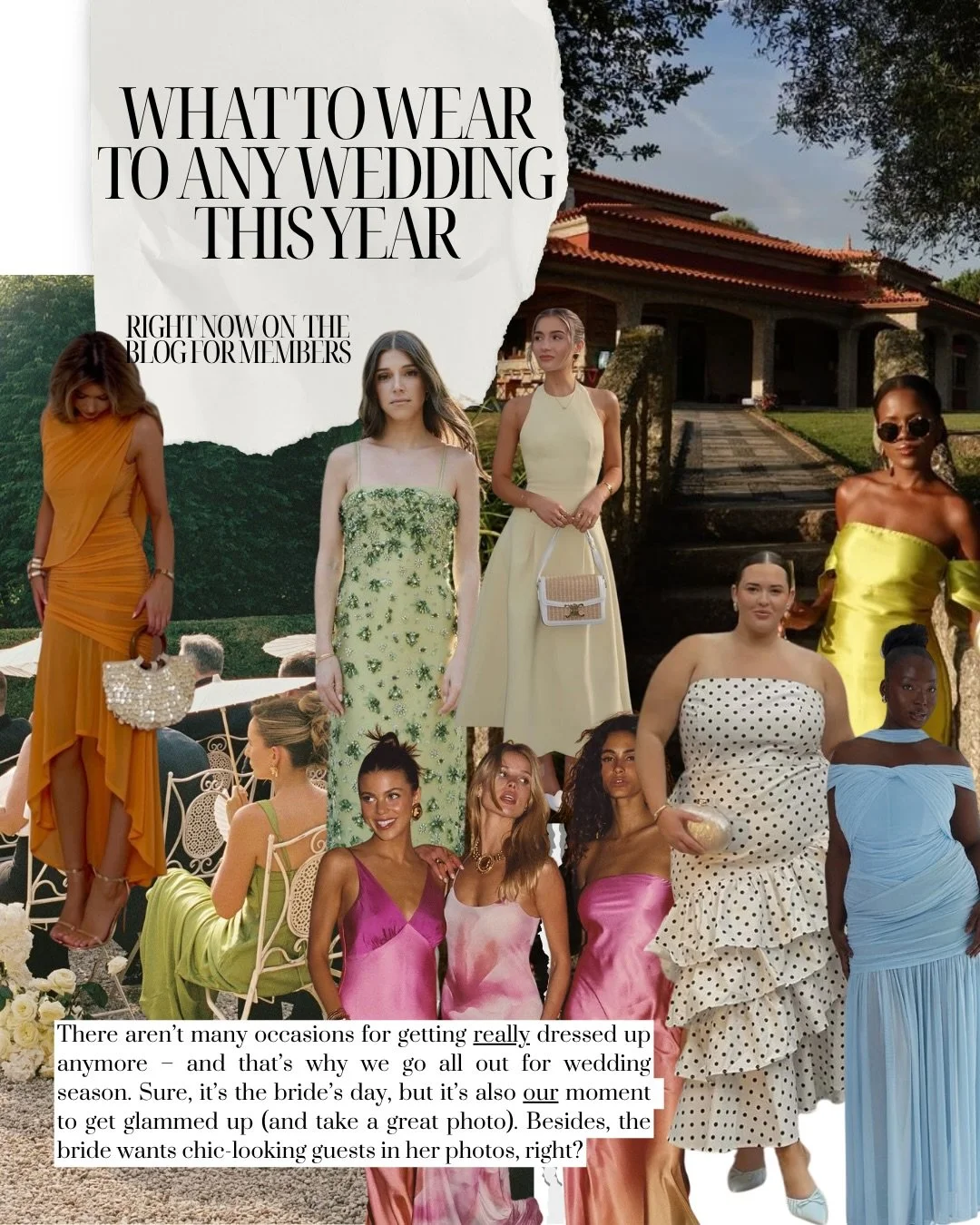 Right now on the blog &mdash; What to Wear to Any Wedding This Year

Read the full blog and shop our recommendations at charly goss.com &mdash; exclusive for members