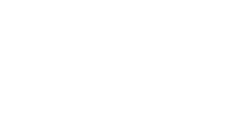 Studio Domani 