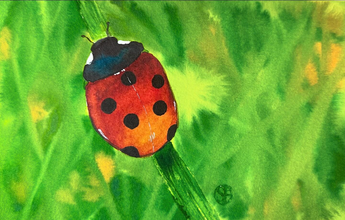 I painted this cute ladybug following @sarahdandelioncray&rsquo;s live tutorial. I love the warm colors on the ladybug and had fun putting in the grass textures in the background. 

#letsmakeartwatercolor #letsmakeart #watercolor #watercolorpainting