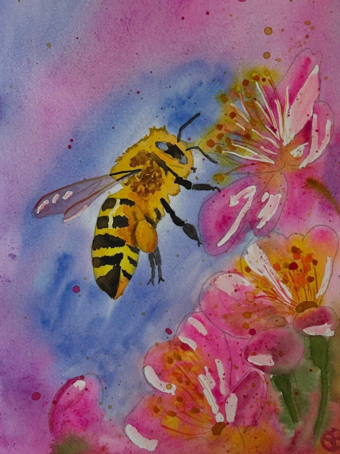I painted the spring bee tutorial from @letsgomakeart. Lots of opera pink making this one bright. I enjoyed the bee facts that were given during this tutorial. It was fun. 

#letsmakeart #letsmakeartwatercolor #watercolor #watercolorpainting