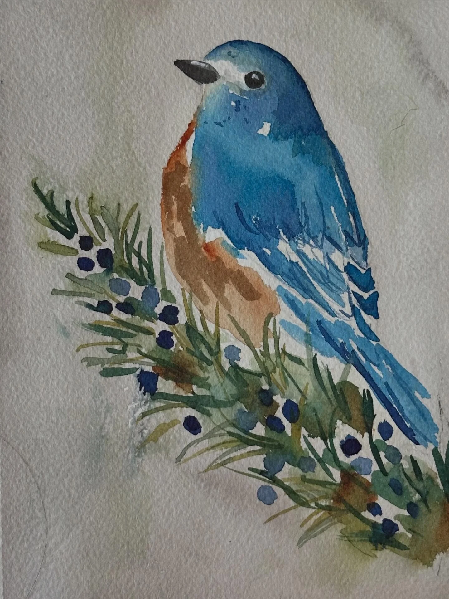I painted the blue bird tutorial from @letsgomakeart. This little guy is a cutie. 

#letsmakeart #letsmakeartwatercolor #watercolor #watercolorpainting