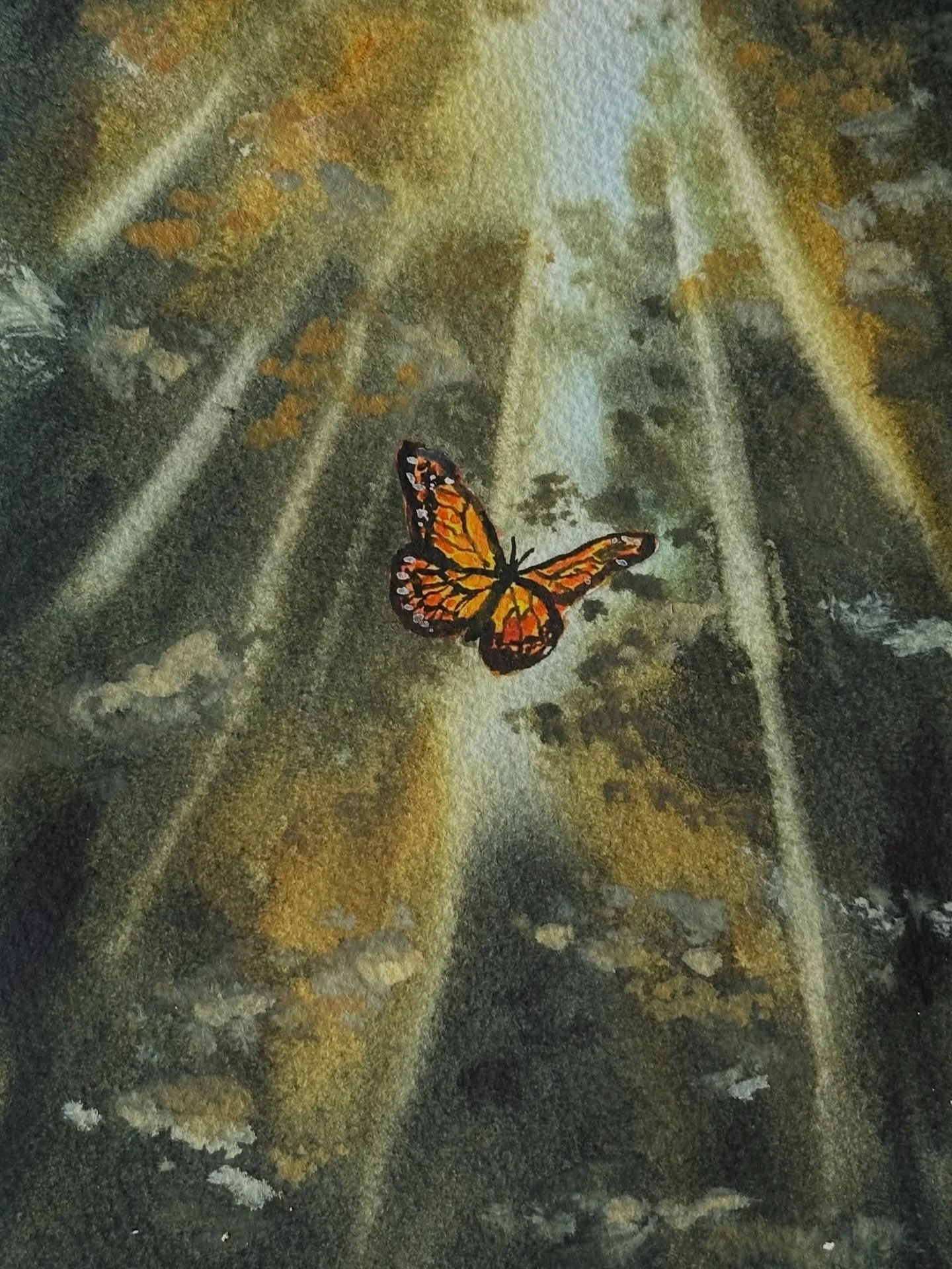 I painted the butterfly in sunlight tutorial from @letsgomakeart in my watercolor journal. I&rsquo;m happy with how this one turned out. It&rsquo;s a cute little butterfly. 

#letsmakeart #letsmakeartwatercolor #watercolor #watercolorpainting