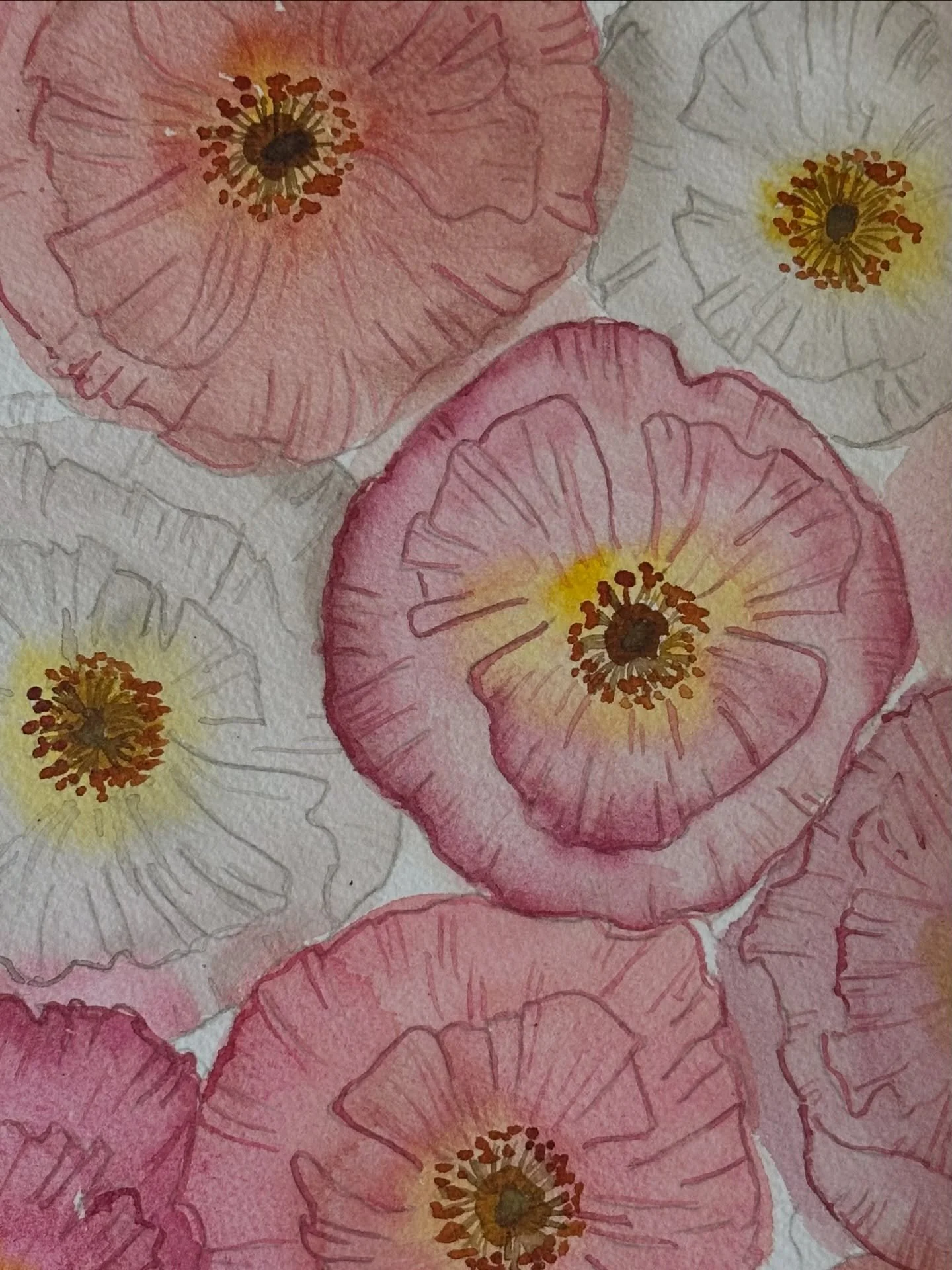 I painted the Icelandic poppies tutorial from @letsgomakeart in my watercolor journal. I was a little slow while painting this so my flowers didn&rsquo;t bleed together as much as I would have liked. 

#letsmakeart #letsmakeartwatercolor #watercolor 