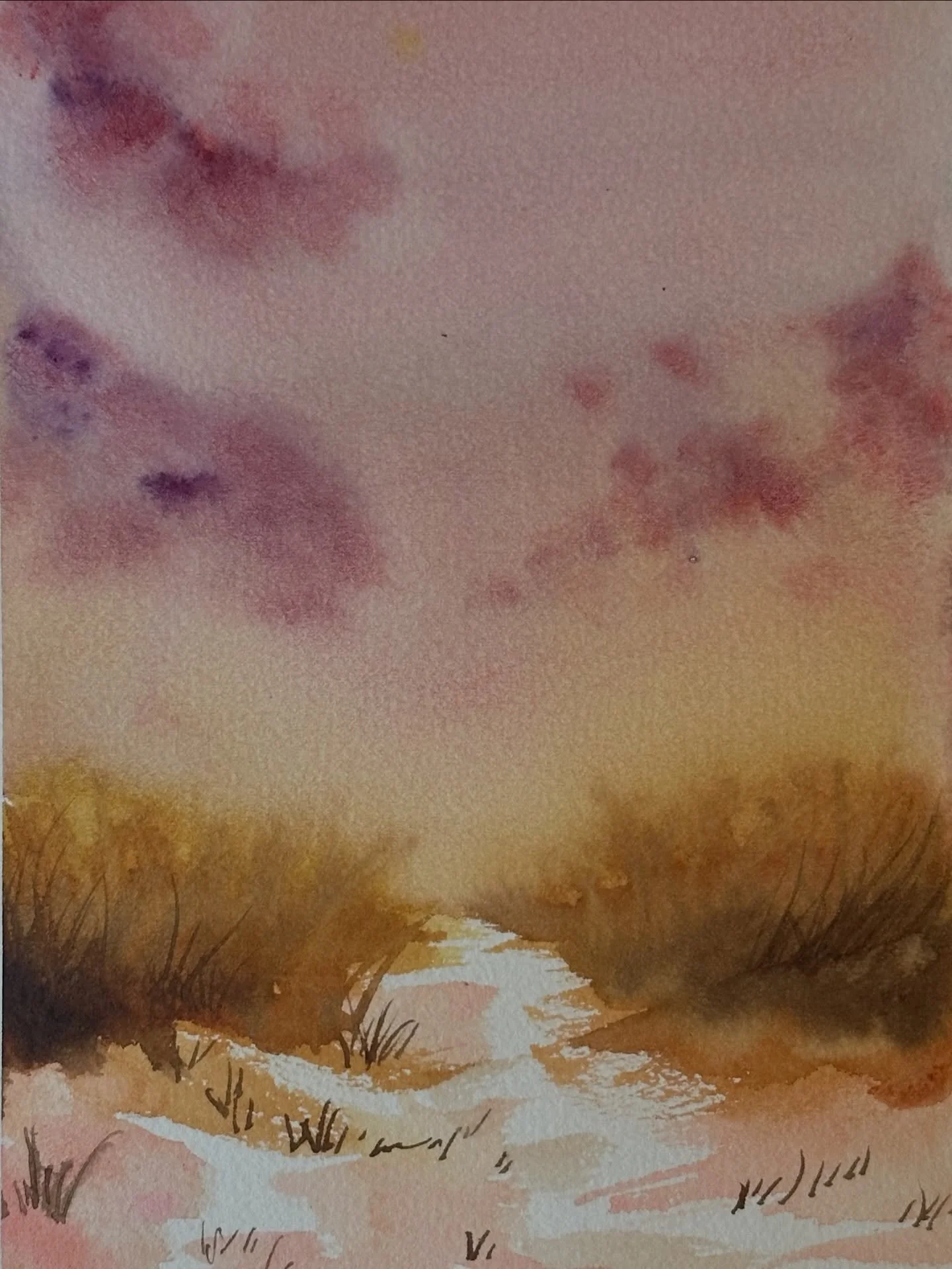 I painted the pink beach tutorial from @letsgomakeart in my watercolor journal. I&rsquo;m happy with how this one turned out. It looks warm and relaxing. 

#letsmakeart #letsmakeartwatercolor #watercolor #watercolorpainting