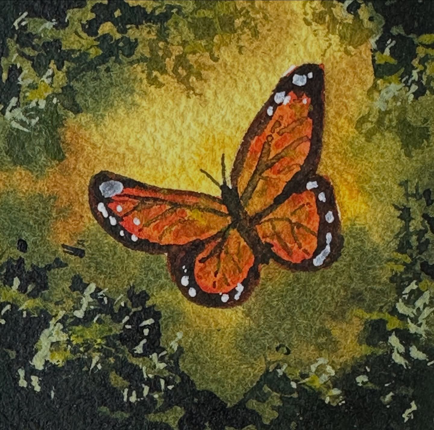 I took the butterfly from the bokeh butterfly tutorial and did a miniature 2x2 inch painting. 

#letsmakeart #letsmakeartwatercolor #watercolor #watercolorpainting