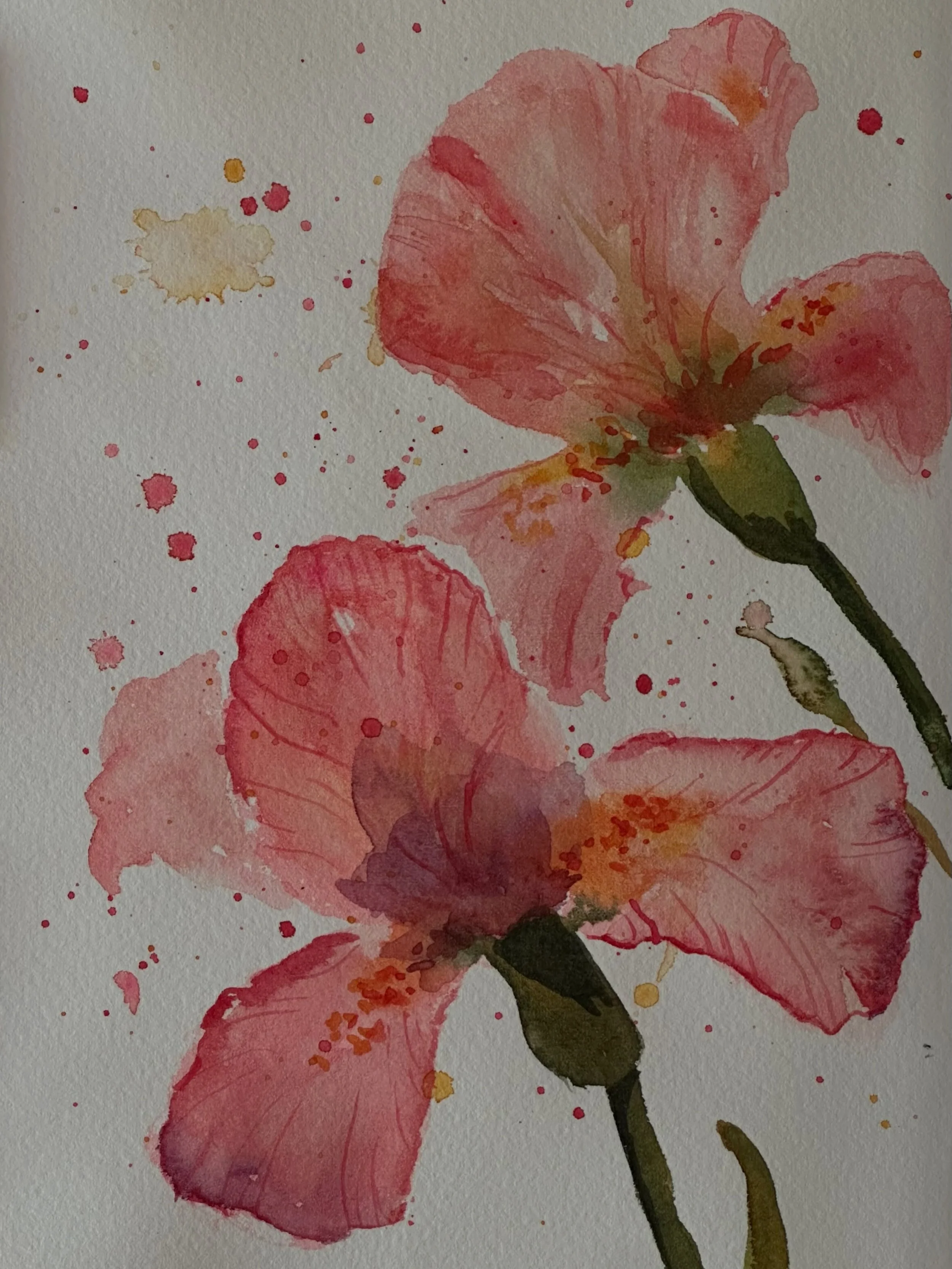 I painted the peachy pink loose iris tutorial from @letsgomakeart. 

#letsmakeart #letsmakeartwatercolor #watercolor #watercolorpainting