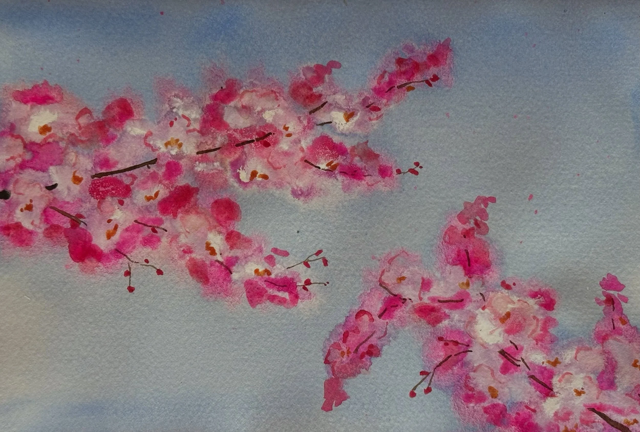 I painted the loose cherry blossoms tutorial from @letsgomakeart. I like how vibrant the opera pink is. 

#letsmakeart #letsmakeartwatercolor #watercolor #watercolorpainting