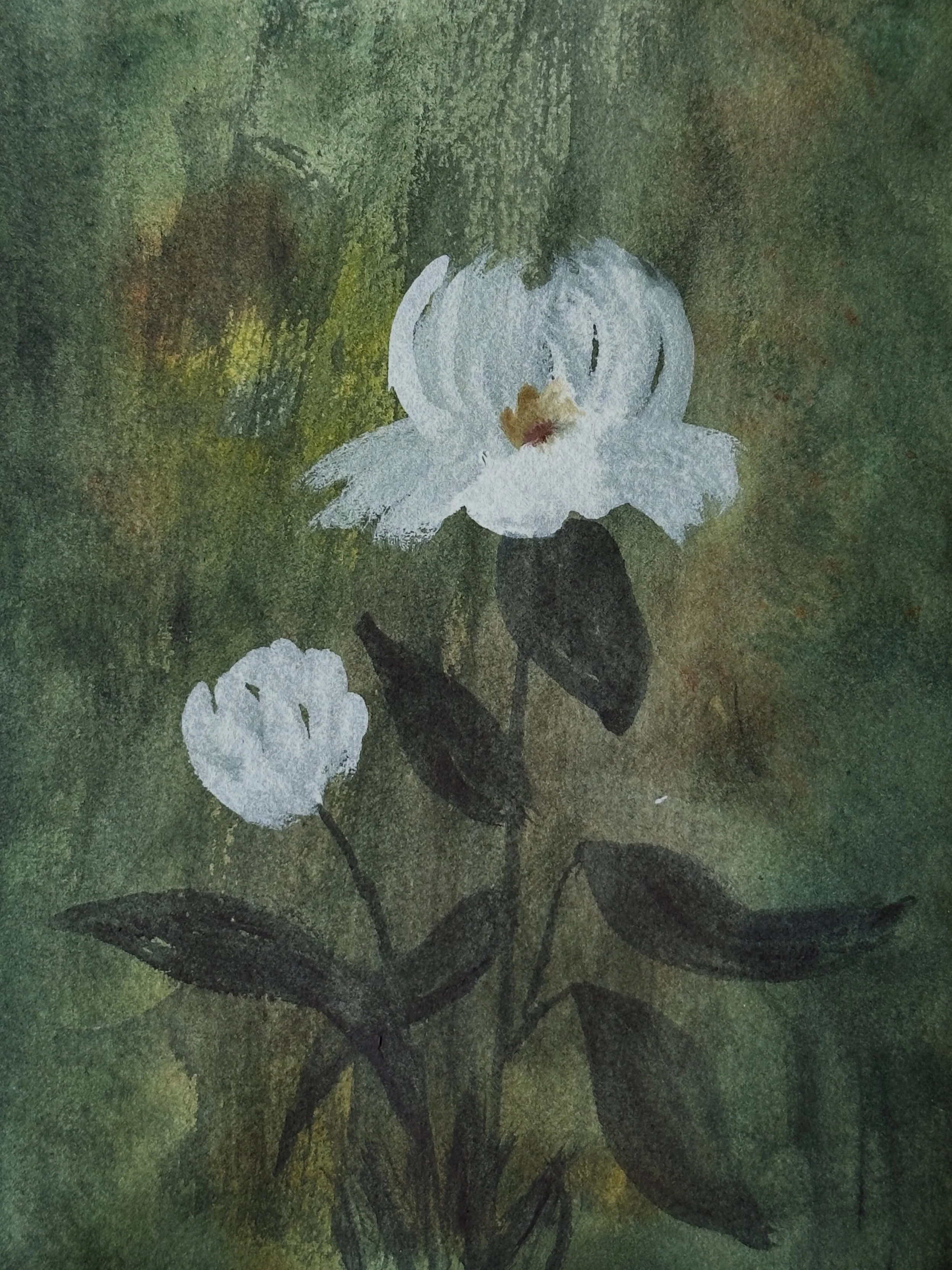 I painted another white flower in my watercolor journal. I started out trying to paint the sunlit gate tutorial from @letsgomakeart on this page, but it went very wrong. My paper was somehow both too wet in places and too dry in others. And I couldn&