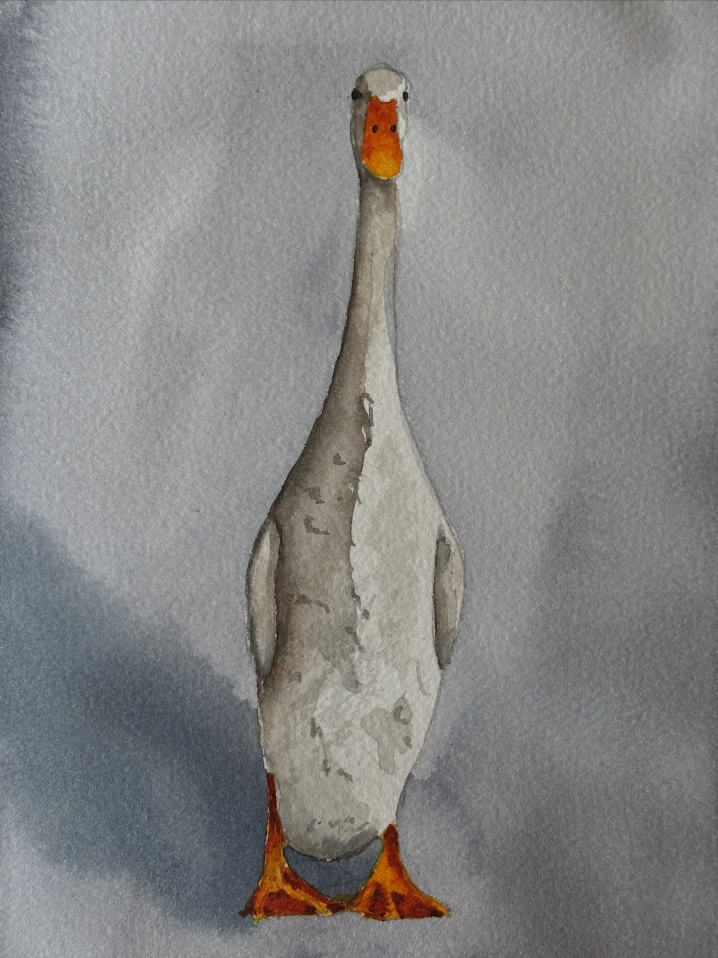 I painted the &ldquo;silly goose, it&rsquo;s a duck&rdquo; tutorial from @letsgomakeart. This duck turned out pretty cute. I&rsquo;m also excited about some of the blooms I got in the background. 

#letsmakeart #letsmakeartwatercolor #watercolor #wat