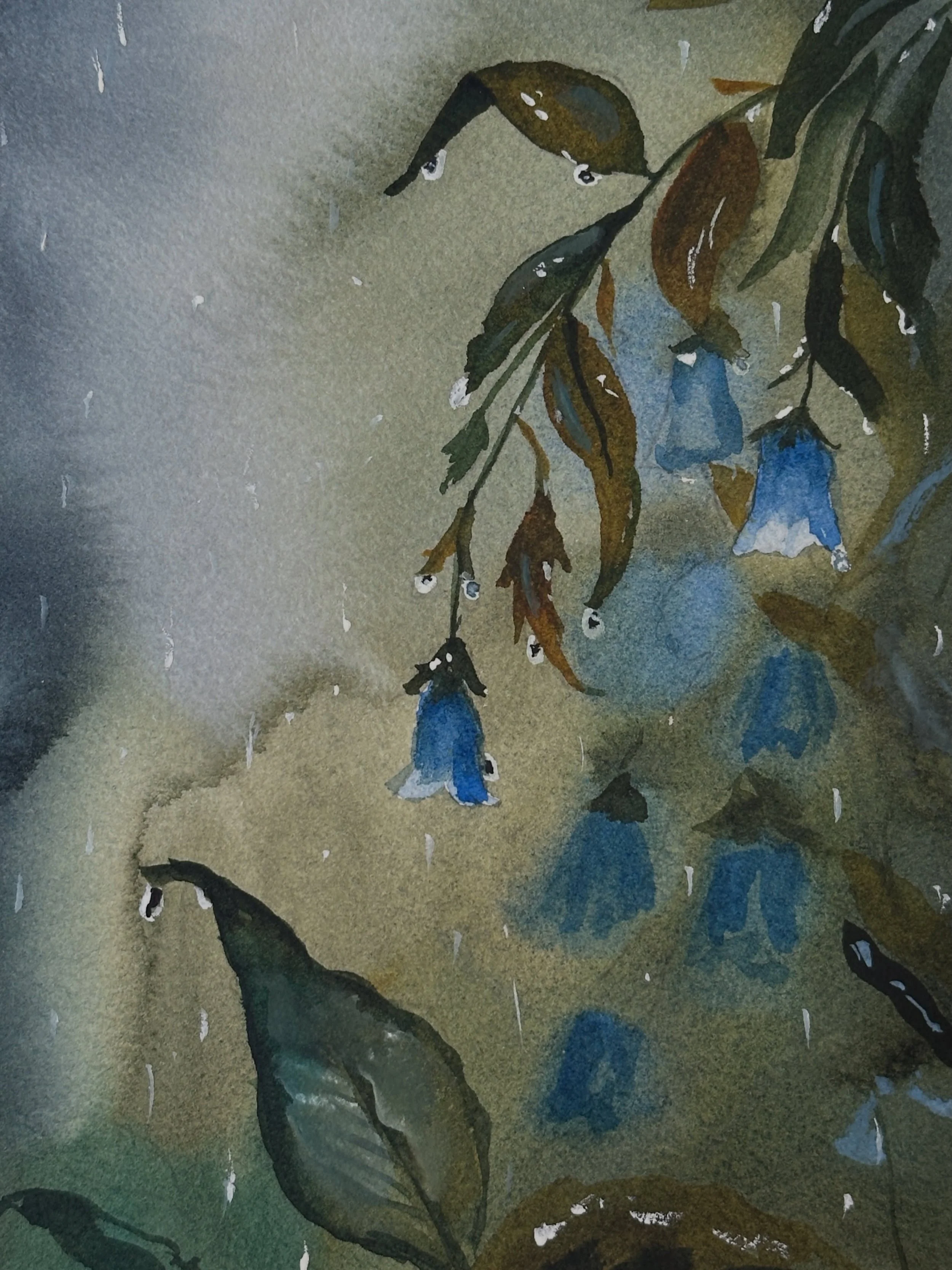 This painting makes me wish for some rain. It&rsquo;s so dry. I painted this from the bluebell tutorial from @letsgomakeart. 

#letsmakeart #letsmakeartwatercolor #watercolor #watercolorpainting