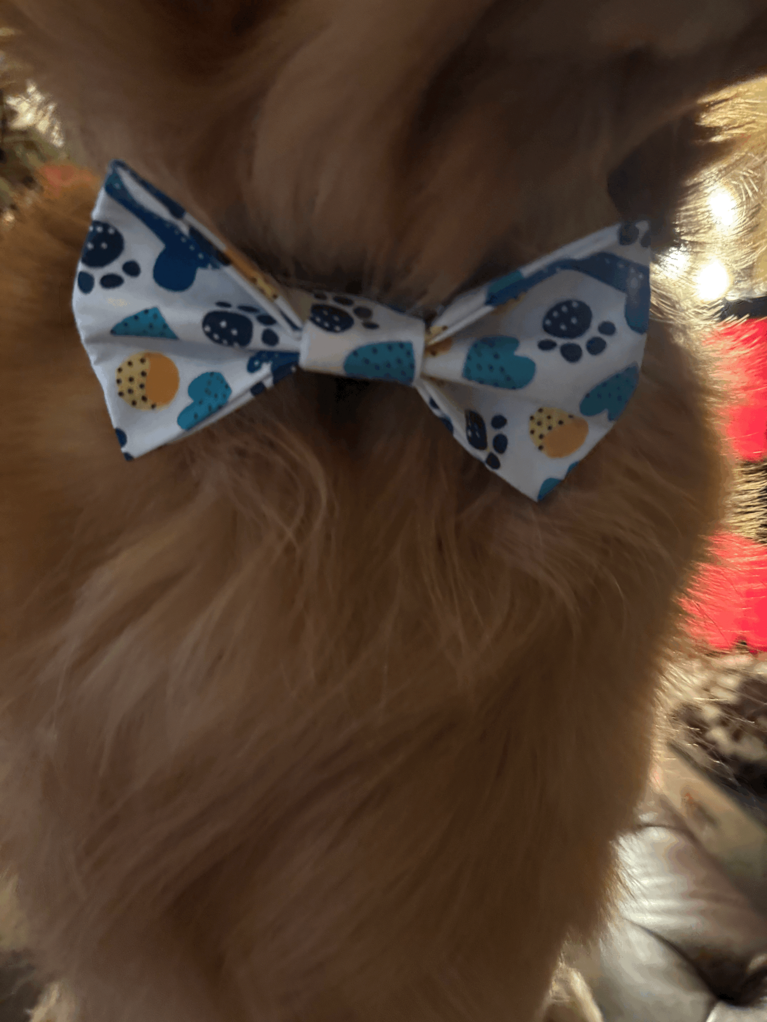 tempImageRHRUOk.gif