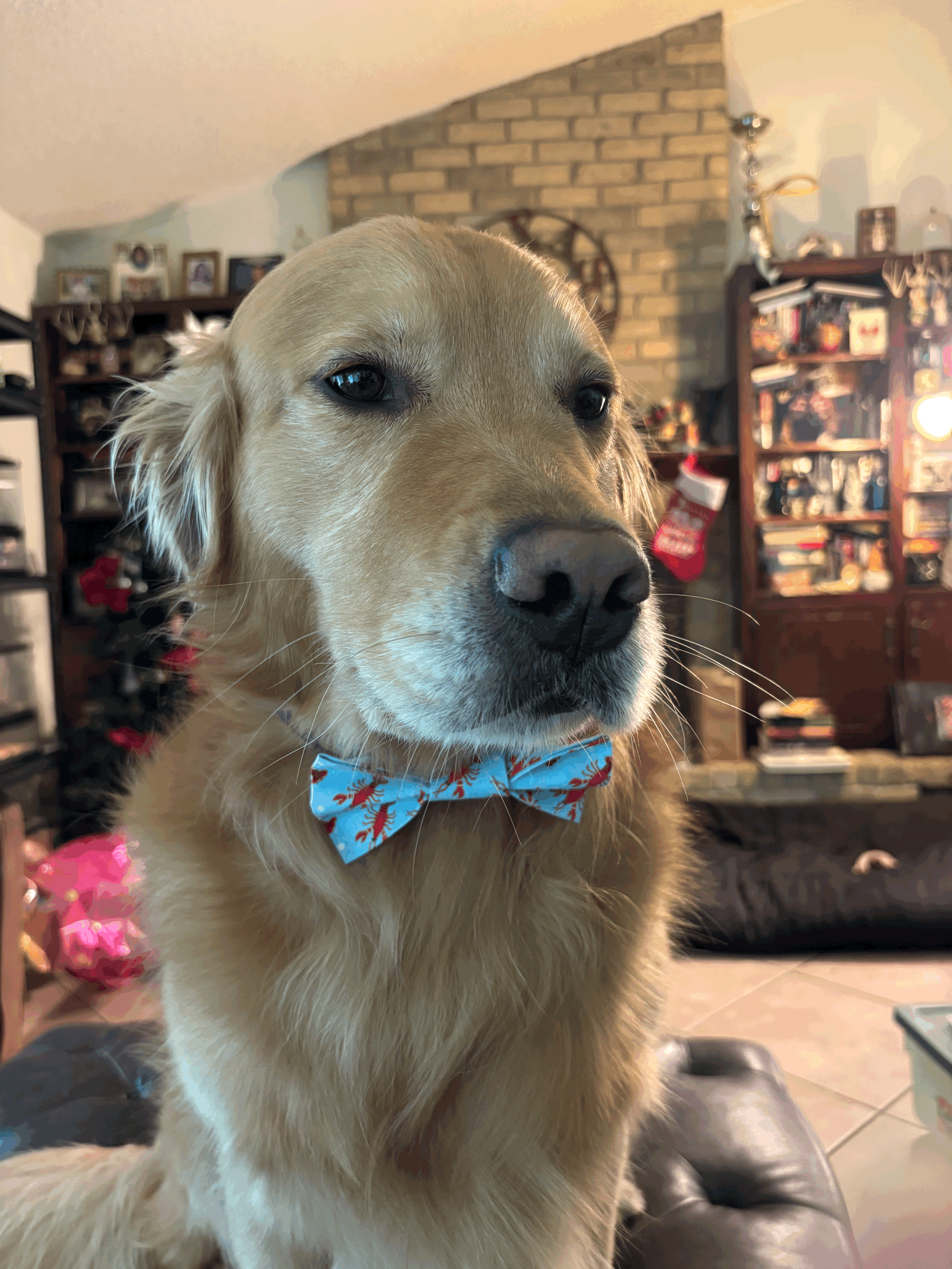 The Crawfish Paw Tie