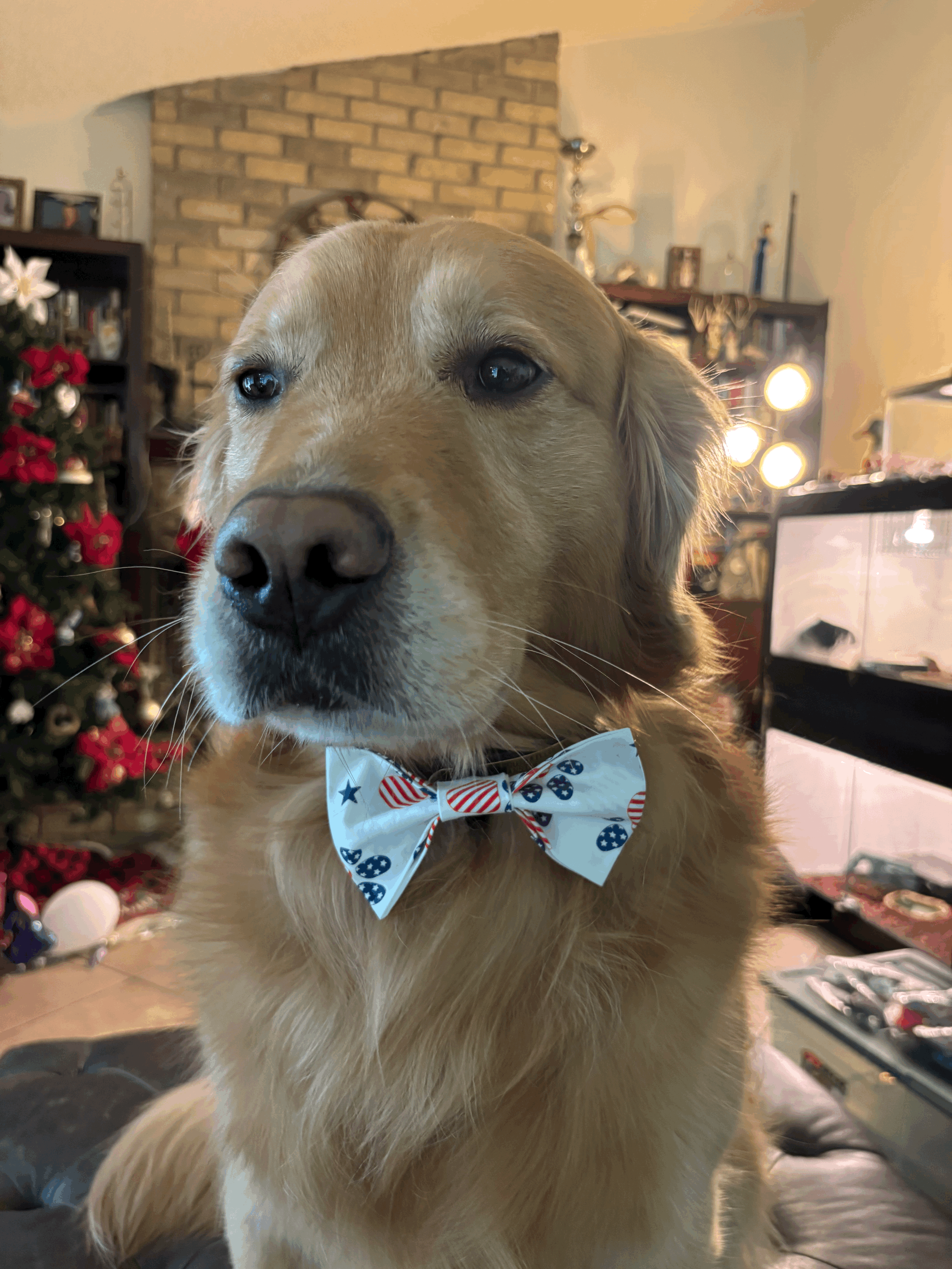 The Patriot Paw Tie