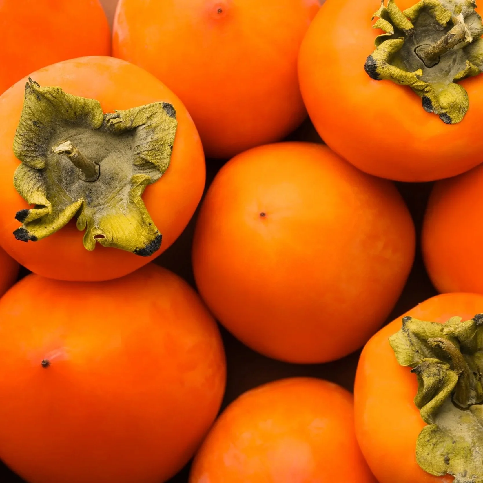 Tony & Mark's - In Season Fruit