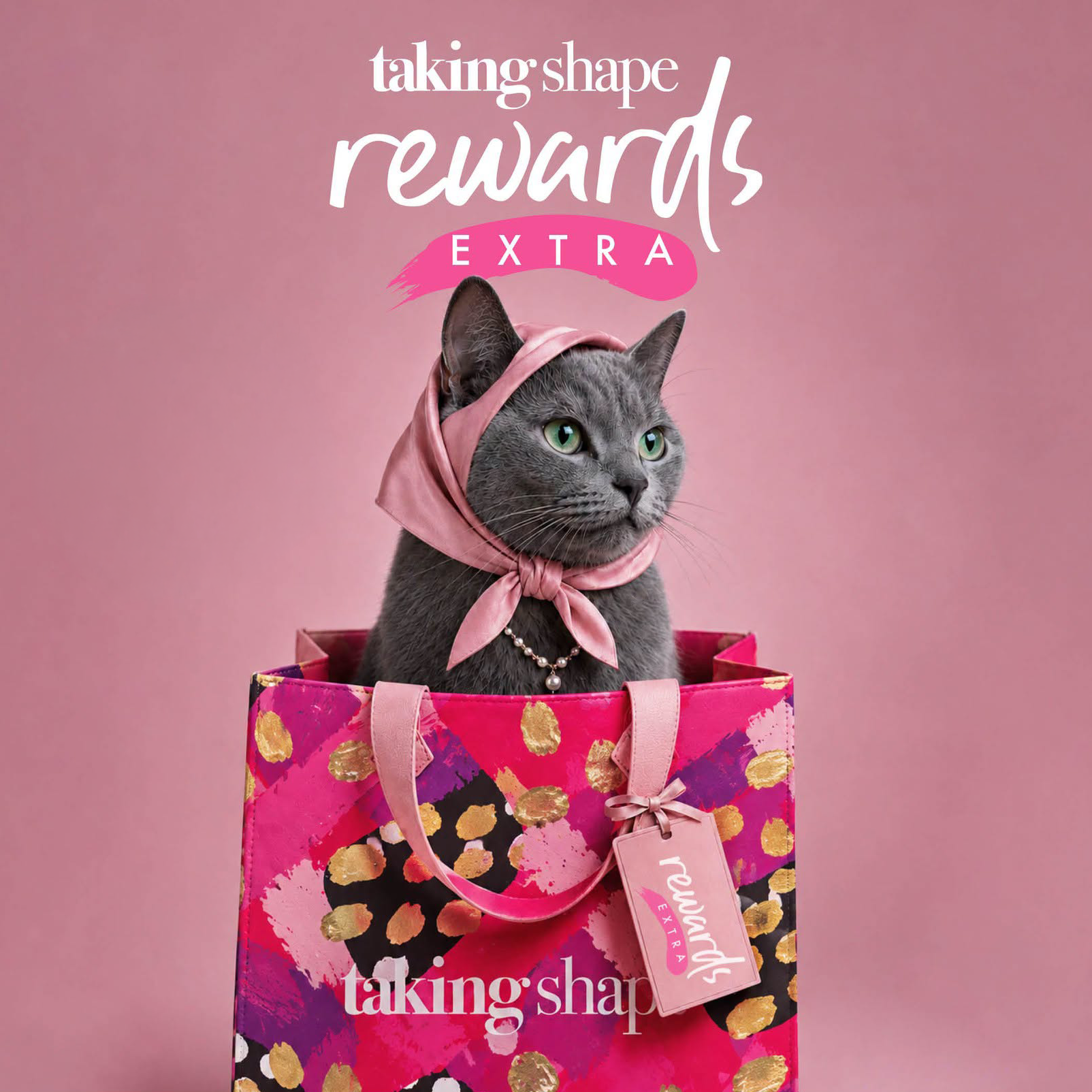 Taking Shape - Rewards Extra