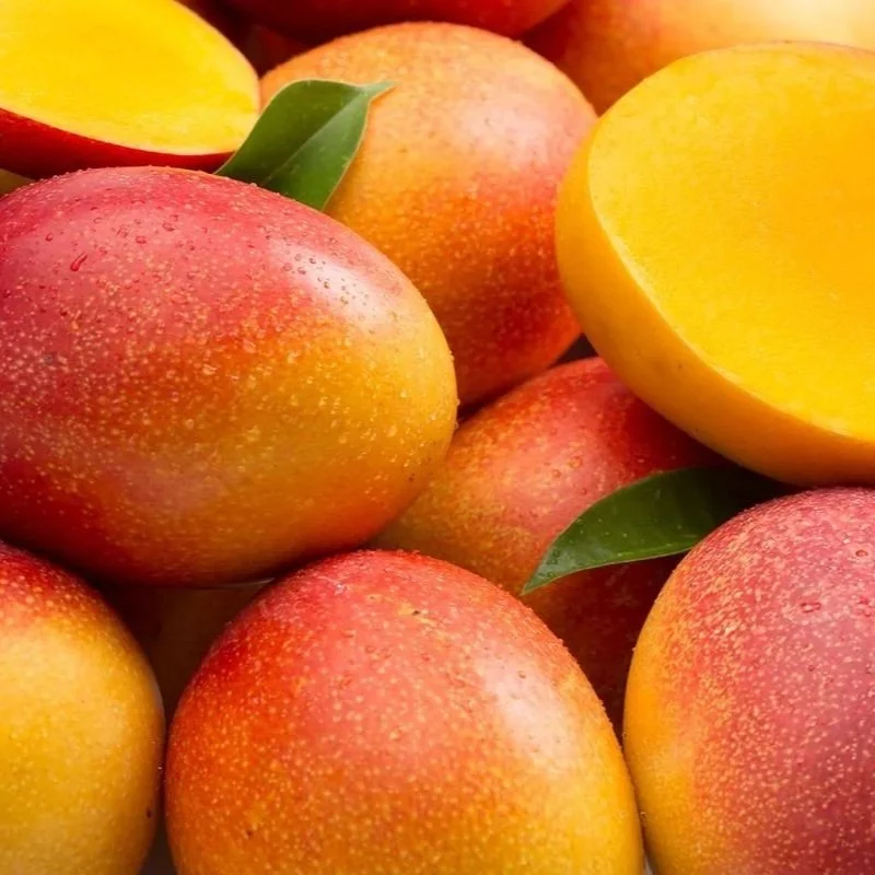 Tony & Mark's - In Season Fruit