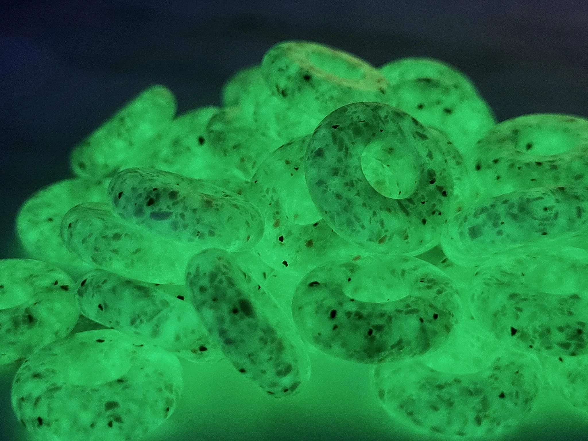 a9273e4b-9058-456d-8ac1-6408e8edd926.jfif