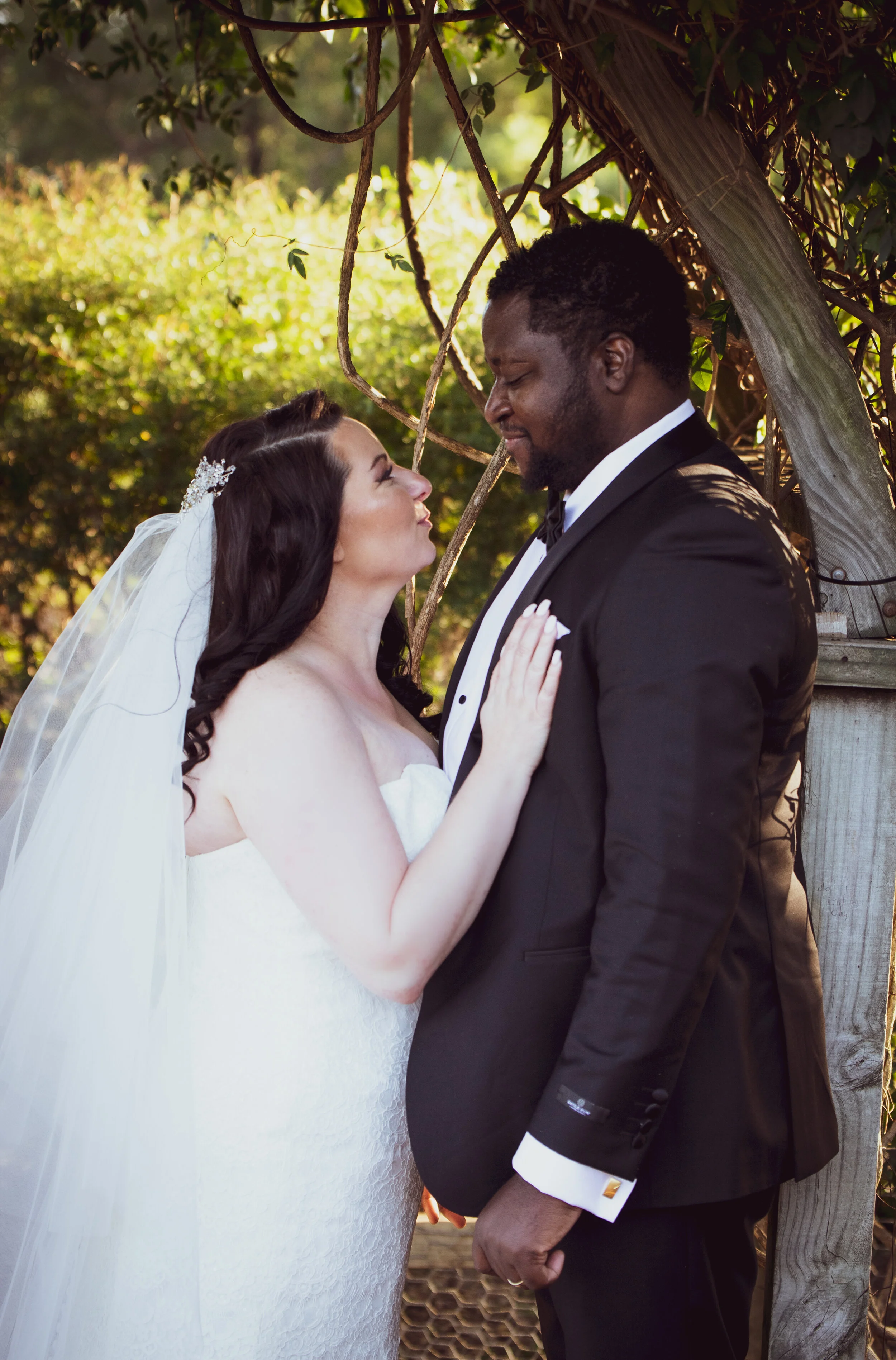 Wedding Photography Australian Botanical Gardens Mount Annan