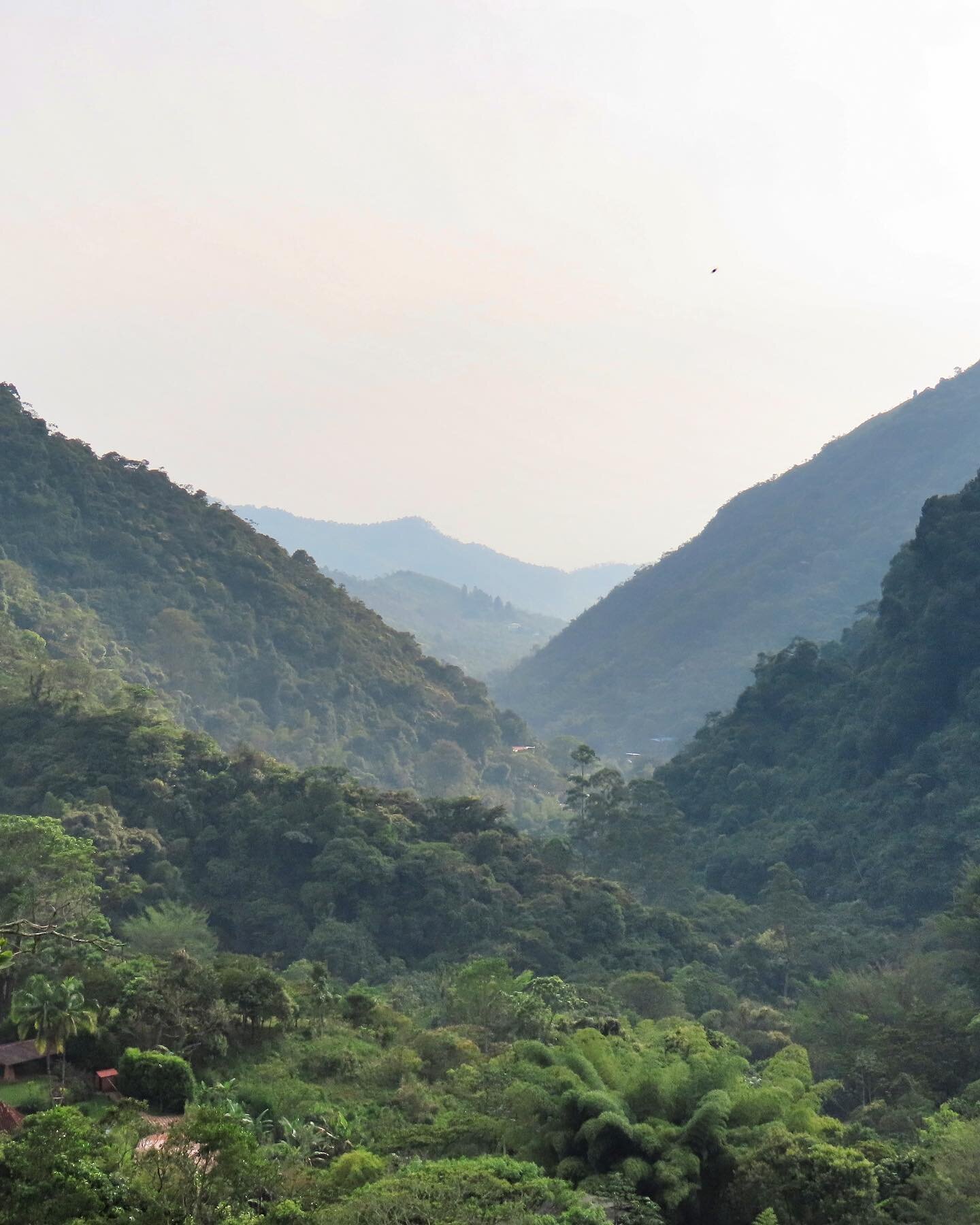 &ldquo;The world is big and I want to get a good look at it before it gets dark.&rdquo; &ndash; John Muir

And so here I am on a spur-of-the-moment adventure in the Colombian Andes to see birds with a best friend. The Cauca valley has the most endemi