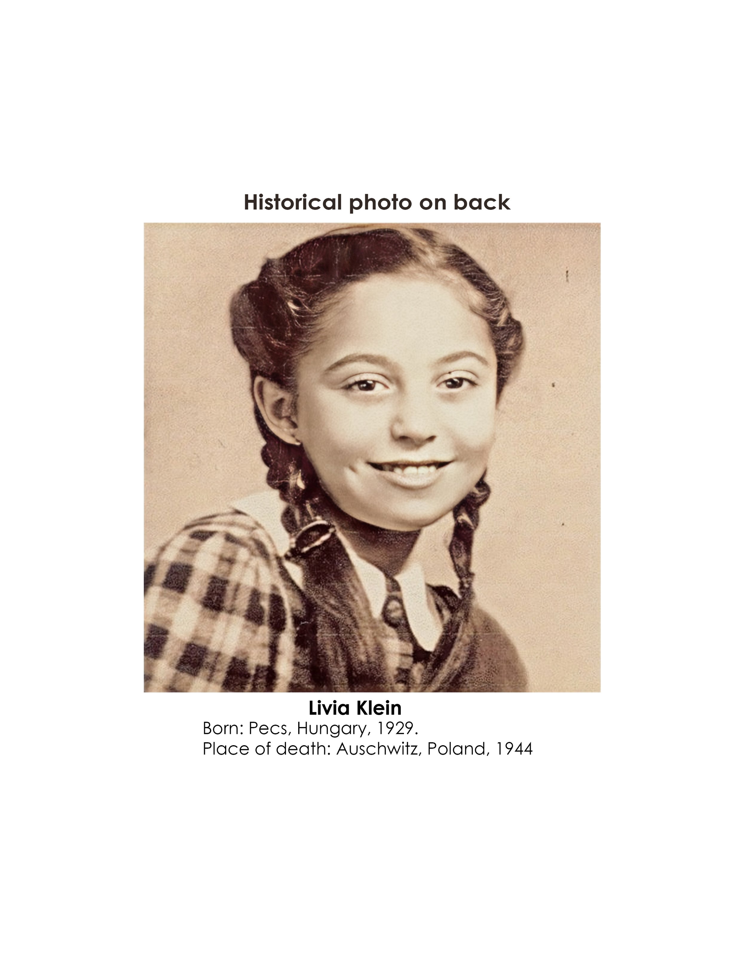 Livia Klein history.jpg