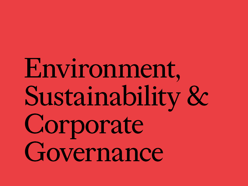 Environment, sustainability and corporate governance
