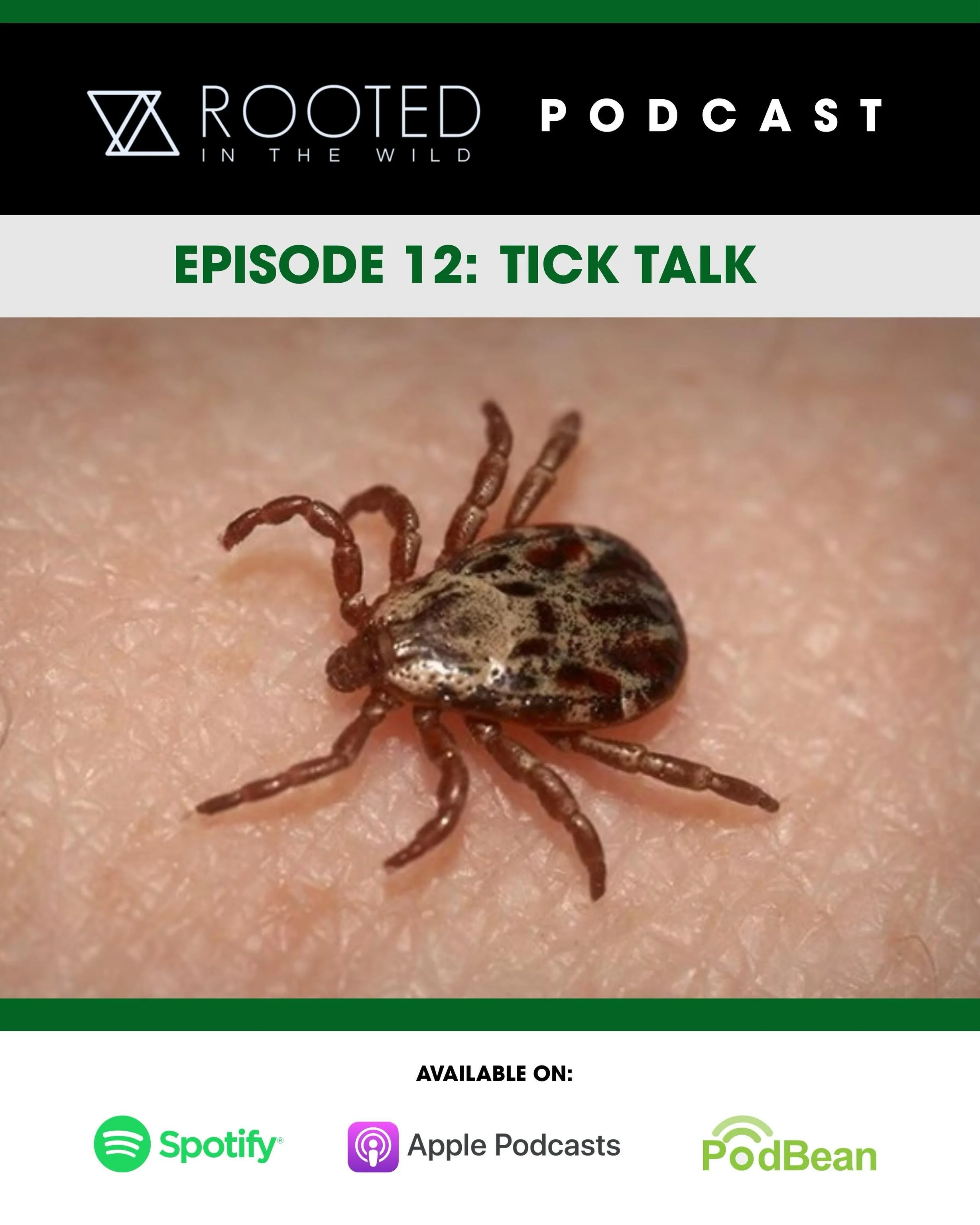 Spring is here, and ticks seem to come along with blooming apple trees and tulips this year. I am receiving multiple messages from clients, friends, and family asking for advice following tick bites. 

Time for a podcast on ticks, Lyme, and co-infect