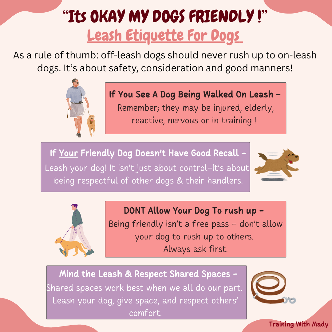 Mind the Leash: Off-Leash Etiquette Around Leashed Dogs