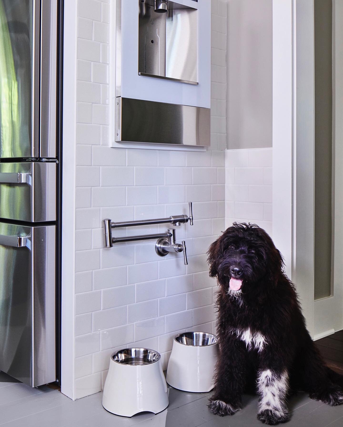 Happy National Dog Day! Check out the @elkay_usa drinking station for the entire family, featuring the Liv bottle filler and pot filler options for the four legged companions. 🐾
⠀⠀⠀⠀⠀⠀⠀⠀⠀
Photo: @laureywglenn and @southernlivingmag  #nationaldogday 