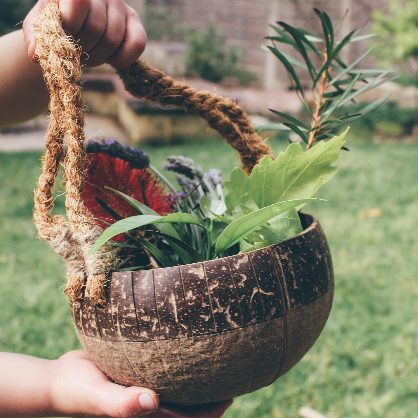 ✨ Magical Potion Play ✨
🌳🧚🏽
With Halloween just around the corner, it&rsquo;s the perfect time to embrace your inner witch or wizard, dust off the cauldron and make some magical potions! 
🧙🏽🧚🏾&zwj;♀️
Step 1: Collect ingredients! We love to use