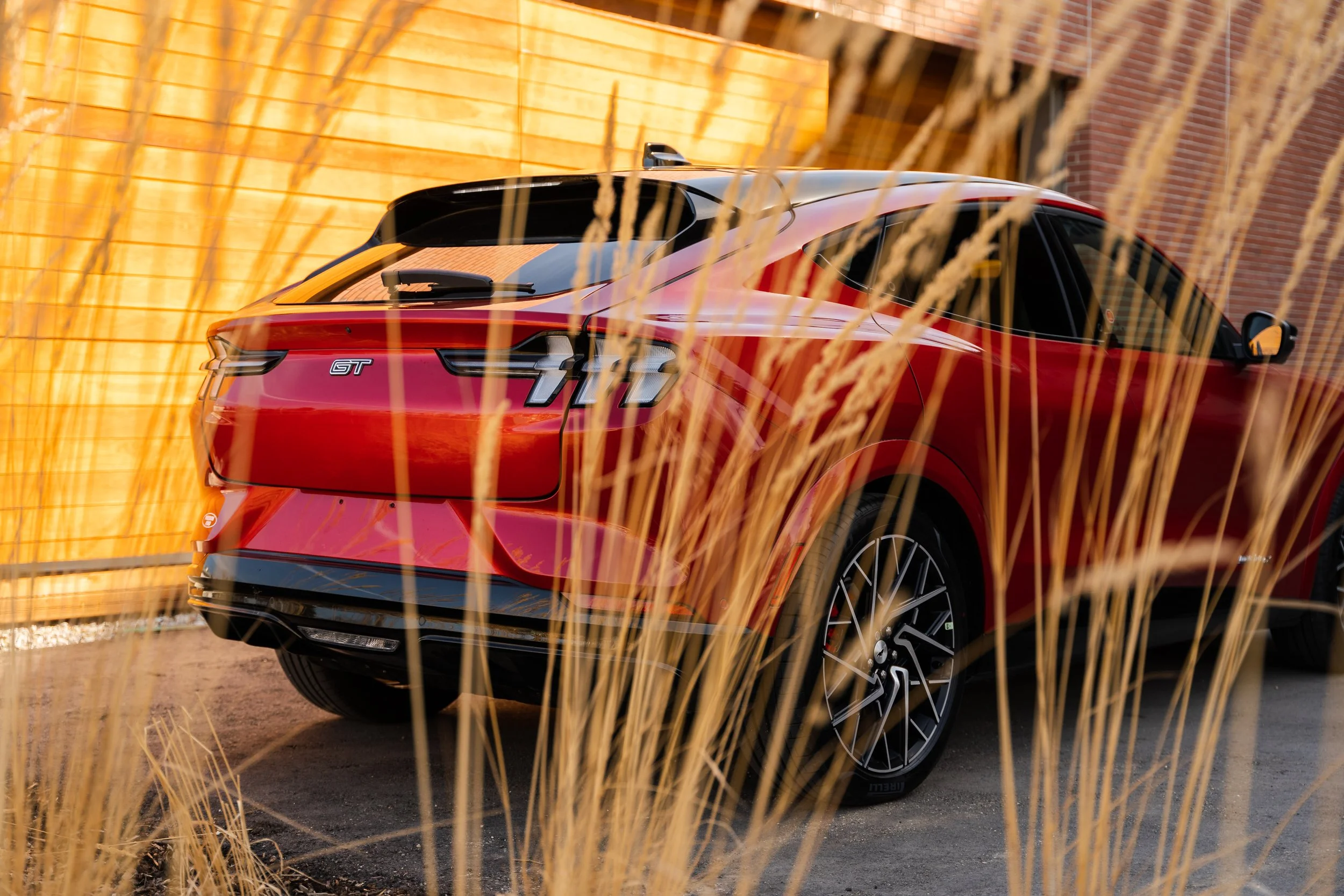 Mach E First Post-2.jpeg