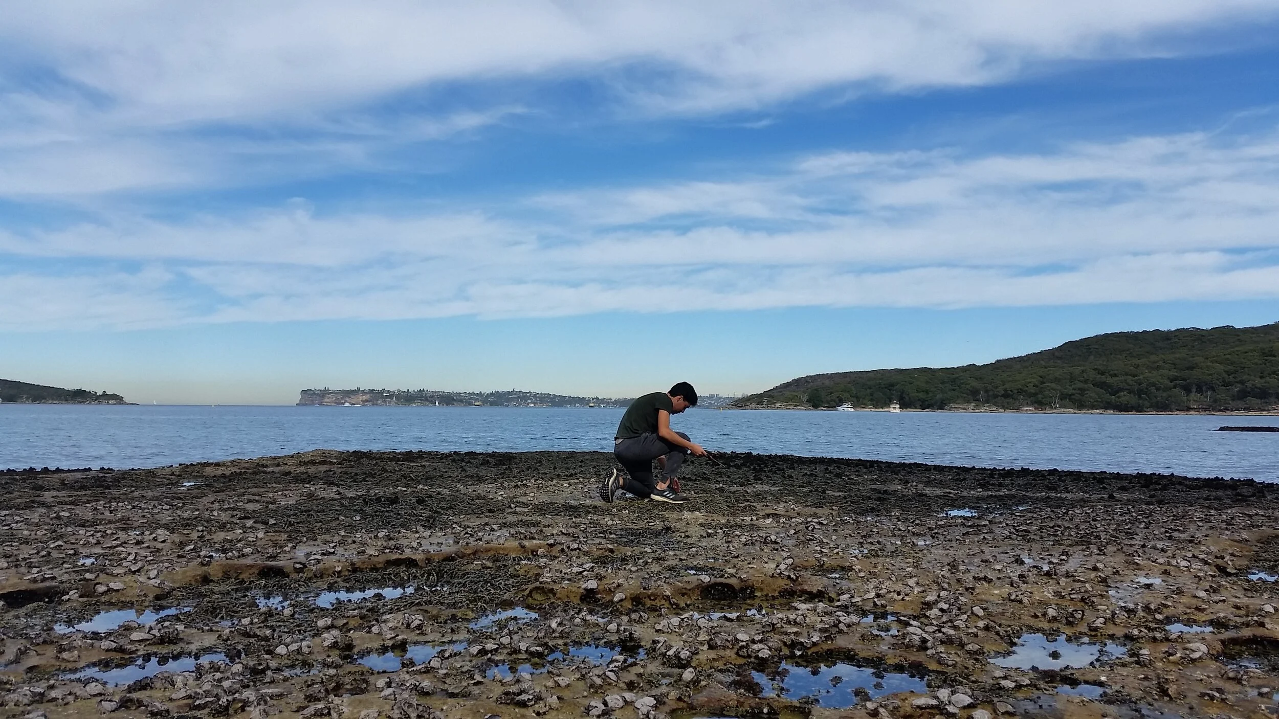 20190702_122215.jpg