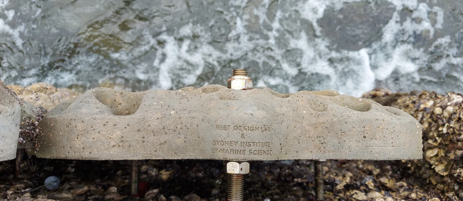 Hydro Shell Dwall Livng Seawalls Products — Living Seawalls