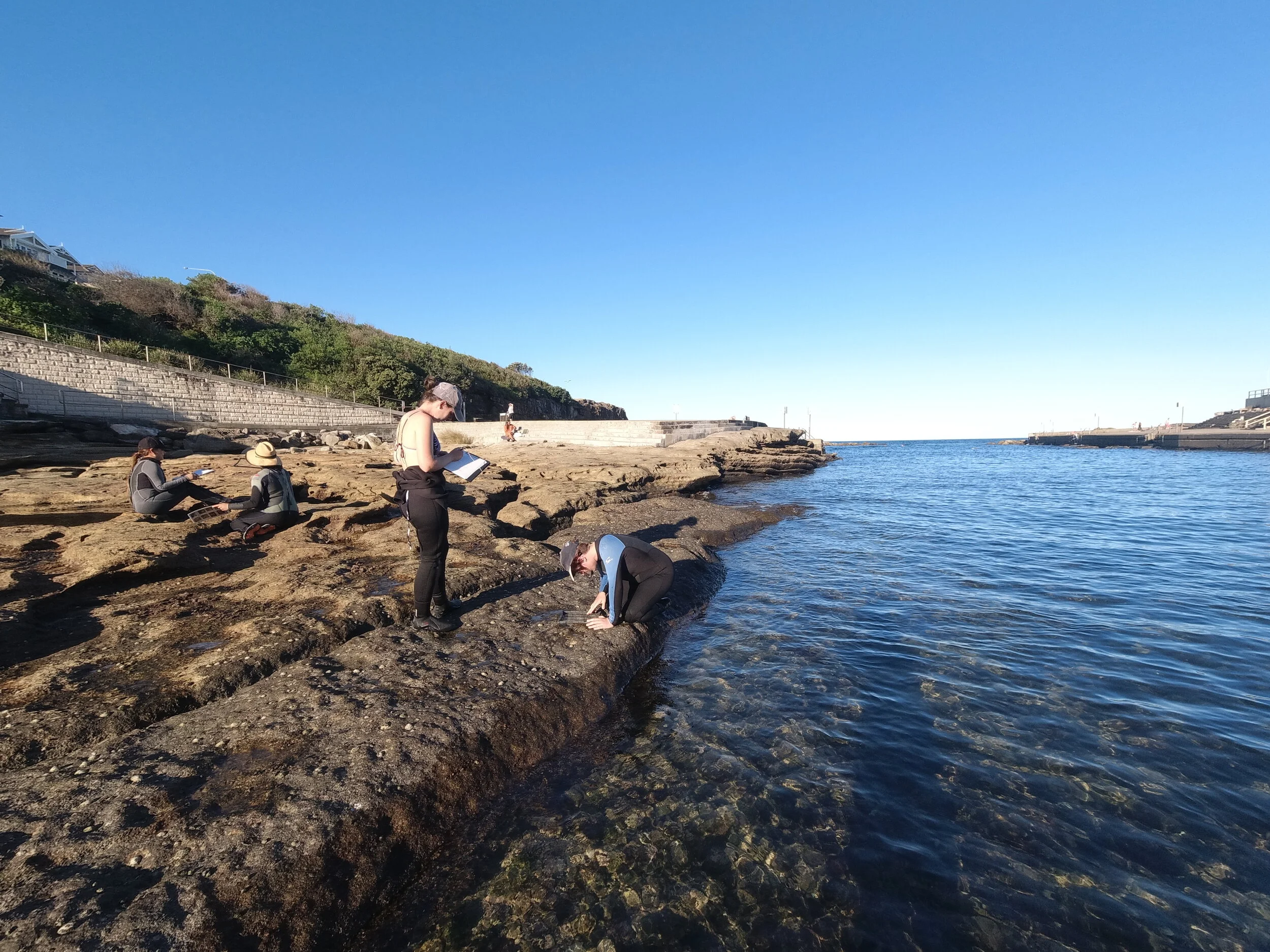 Clovelly Pool.JPG