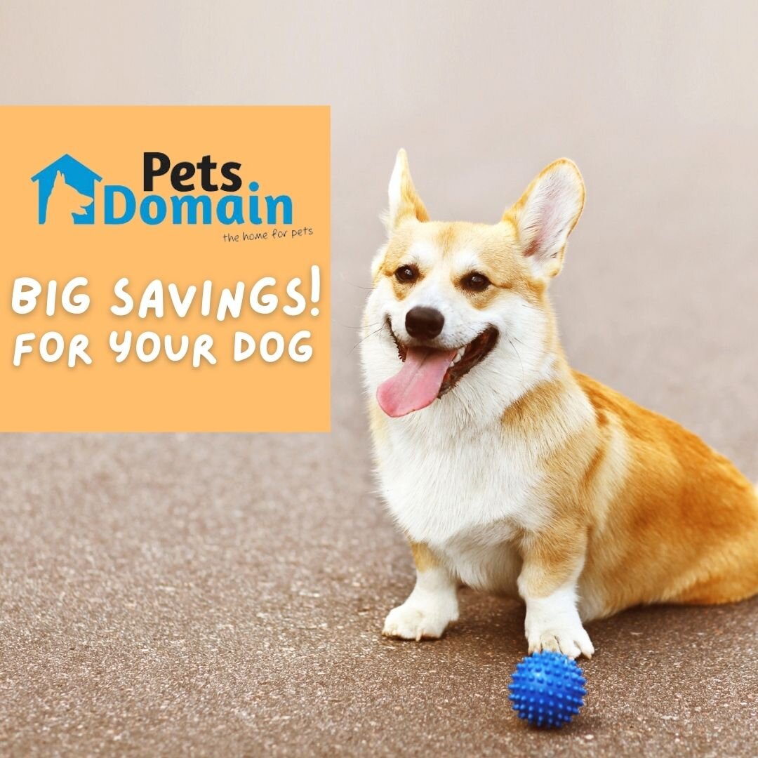 Pets Domain: Catalogue Sale