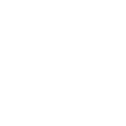 20STORES-BAG.png