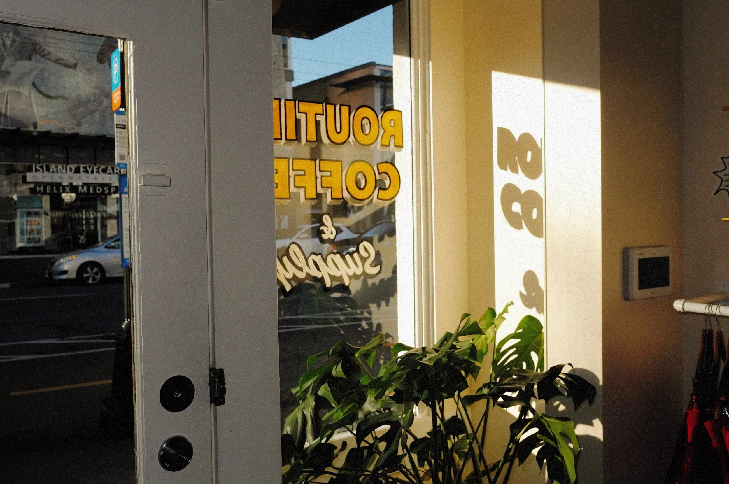 Sunlight casts shadows inside a storefront with a potted plant and a window. Stores and cars are visible outside.