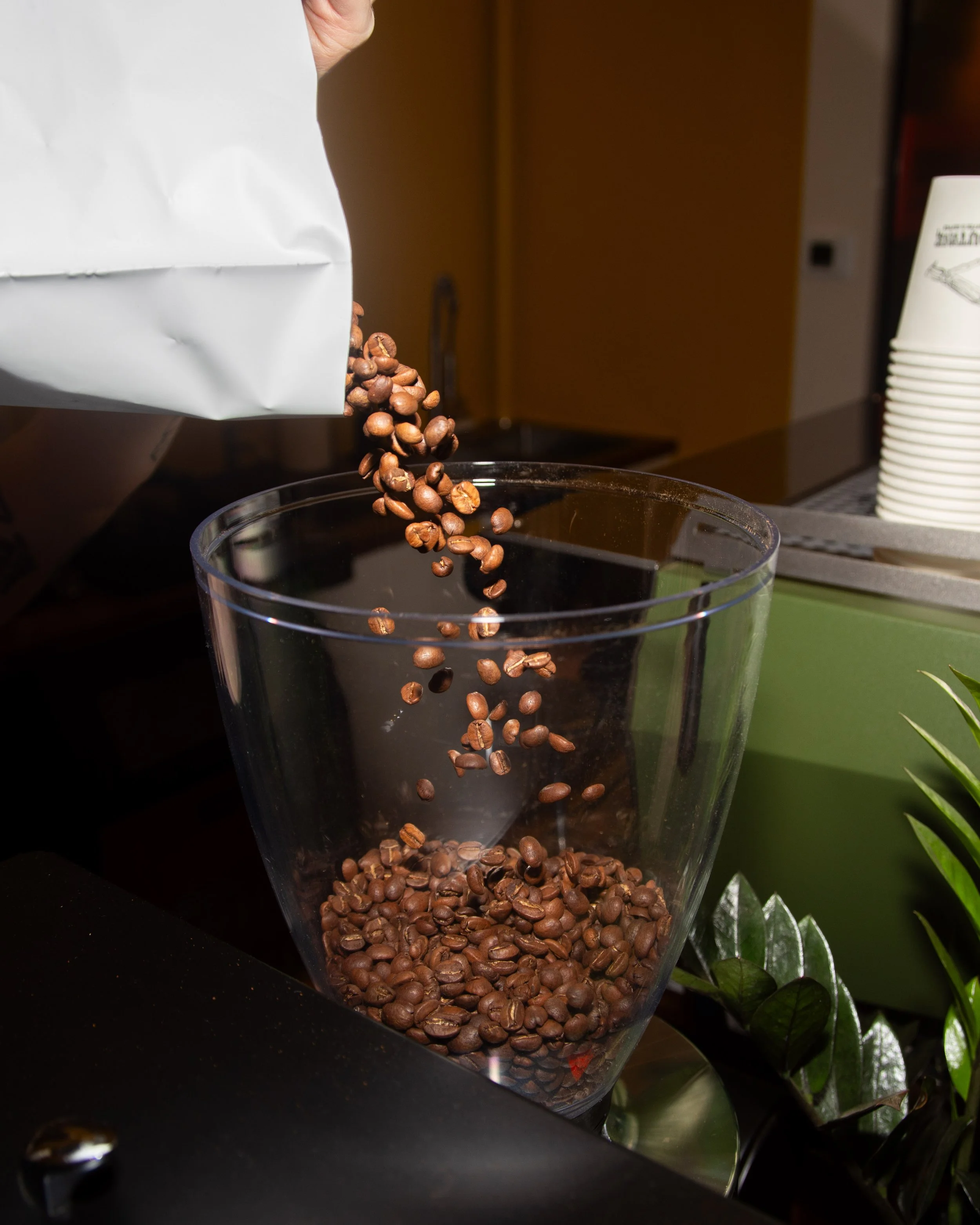 Coffee beans being poured into a glass container at a coffee shop or café.